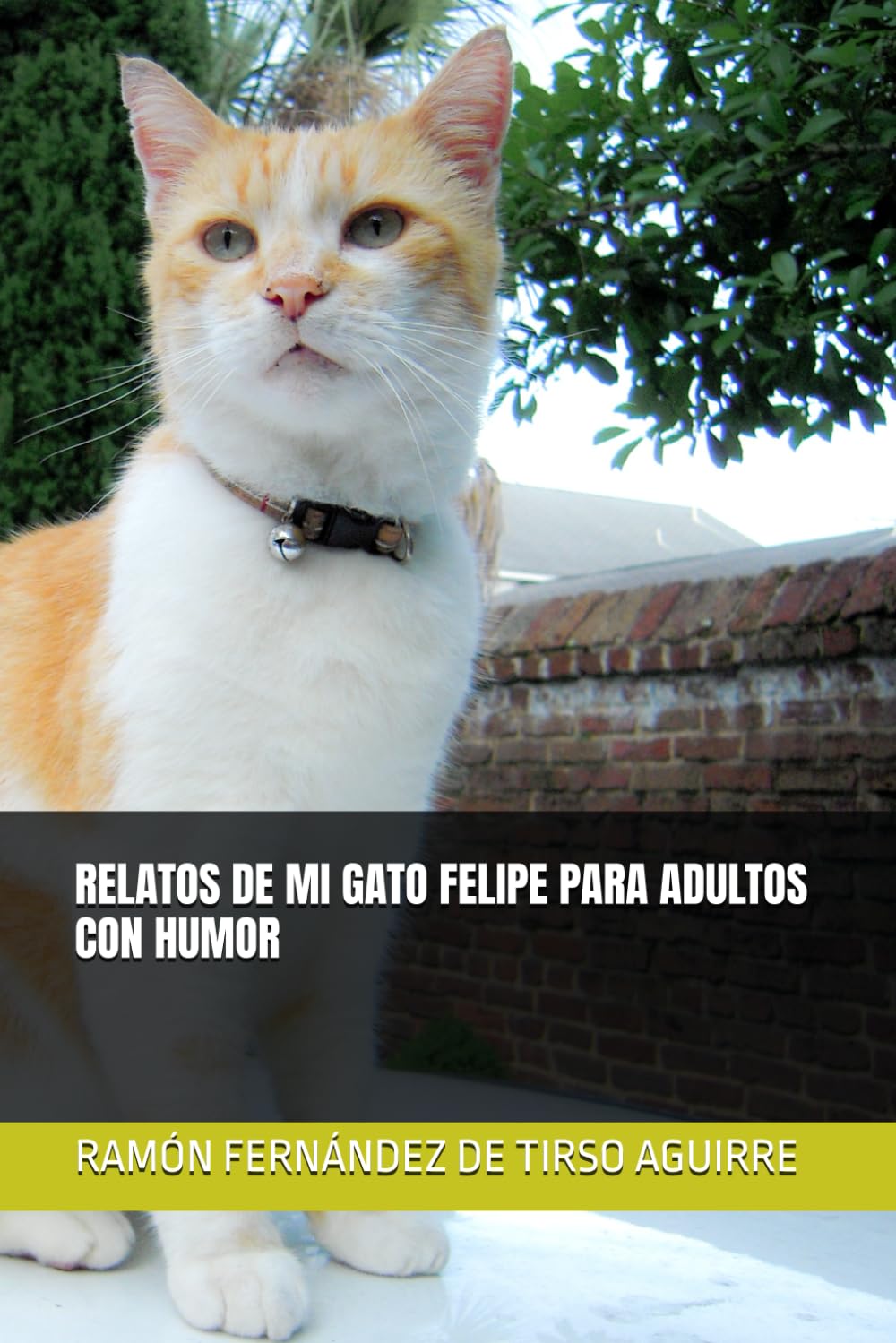 RELATOS DE MI GATO FELIPE PARA ADULTOS CON HUMOR