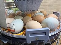 Review Image by LRobinson