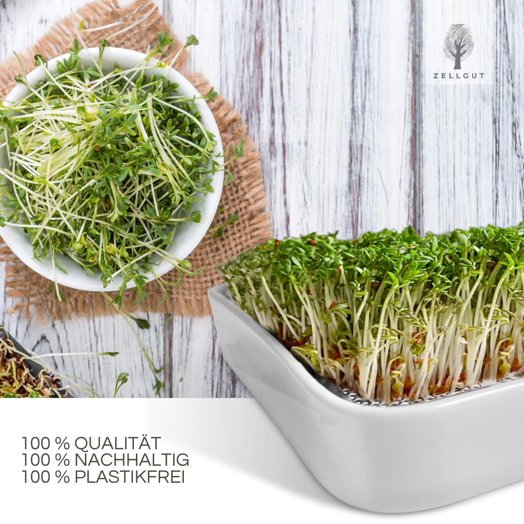 Kressesieb, Kresse Anzuchtschale, Keimschale - 12cm - Keramikschale + Edelstahlsieb - Keimgerät für die Anzucht von Microgreens, Keimsaaten