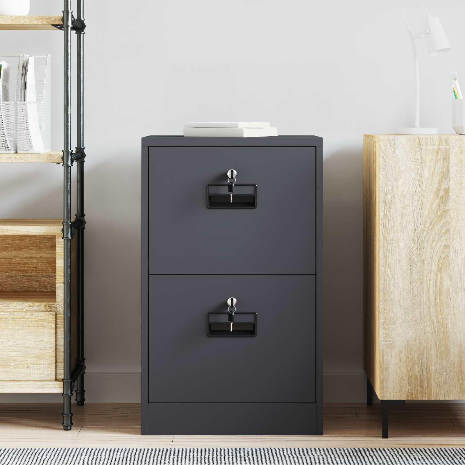Armoire de Rangement en Acier laminé à Froid avec tiroirs Anthracite 45,5 x 42 x 74,5 cm Meuble Bureau sécurisé pour Documents et vêtements