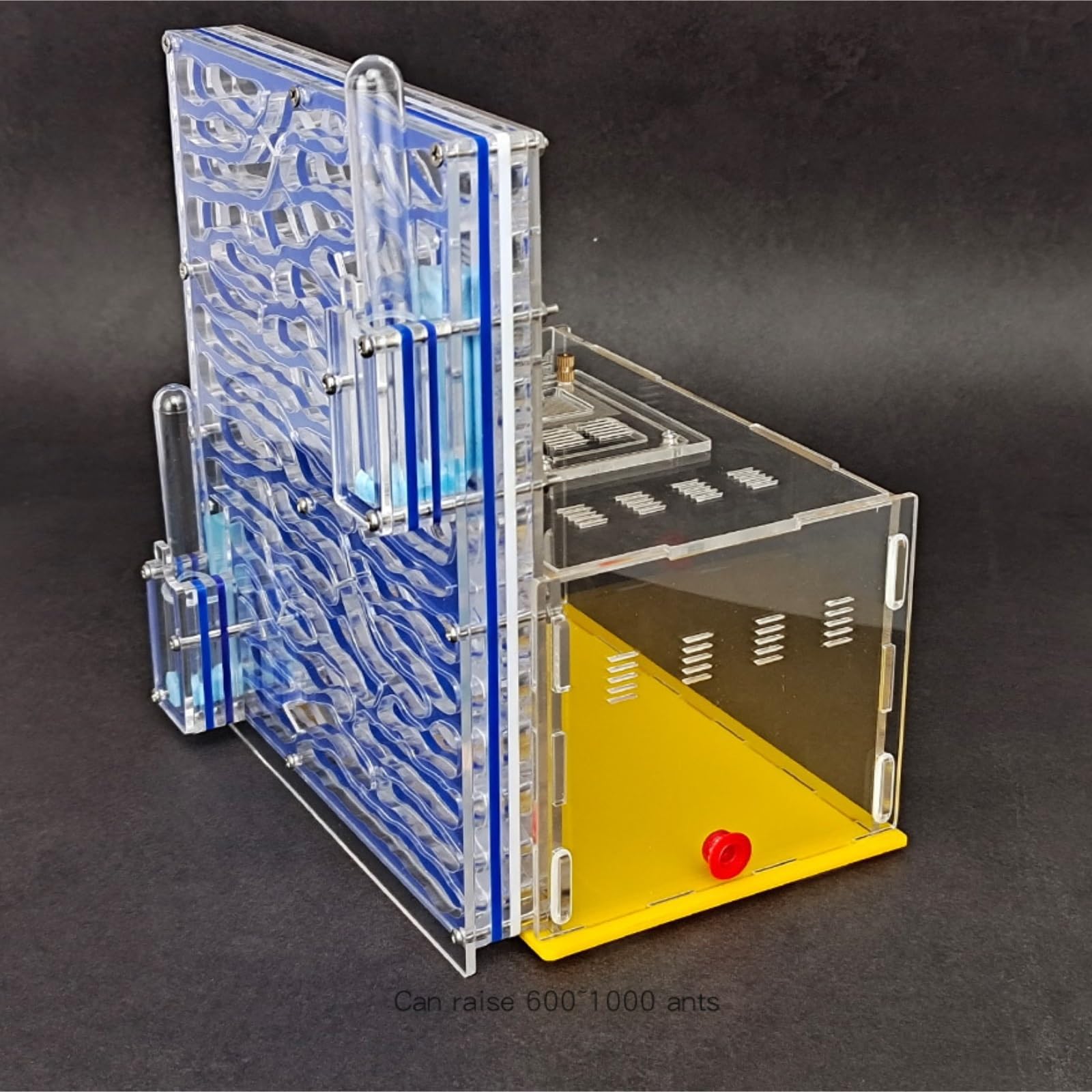 Transparenter Ameisennest-Lebensraum aus Acryl, großes Ameisenkolonie-Formicarium zur Beobachtung der Ameisenhaltung(Yellow)