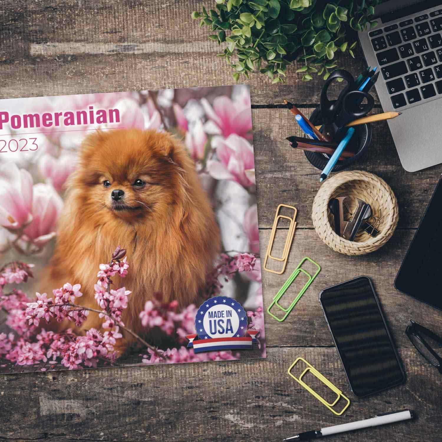 Pomeranian Calendar 2026 - 16-Month Dog Breed Wall Calendar by MegaCalendars - Large Daily Blocks, Thick No-Bleed Paper, Made in USA - Image 5