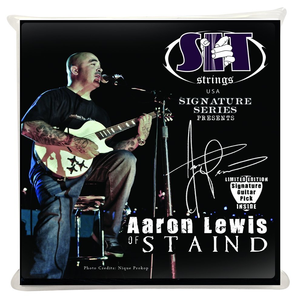 SIT Strings SS-RL1356AL Phosphor Bronze Acoustic Guitar Strings, Medium