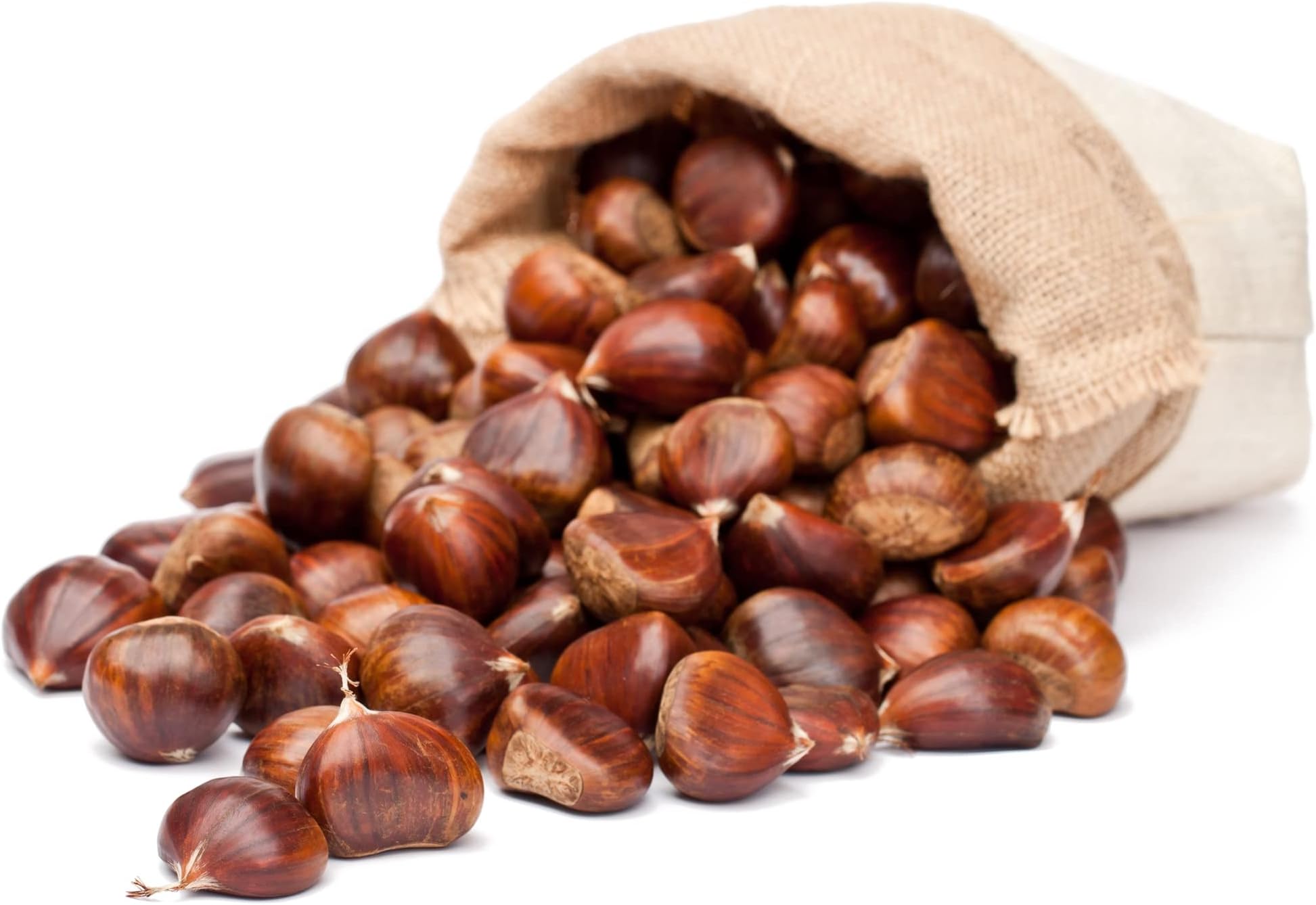 Fresh, Raw, Premium Quality Italian Chestnuts | Tender, Easy Peel, Large, Aromatic, Delicious Chestnuts | Raw Fresh Italian Chestnuts (3 LBS)