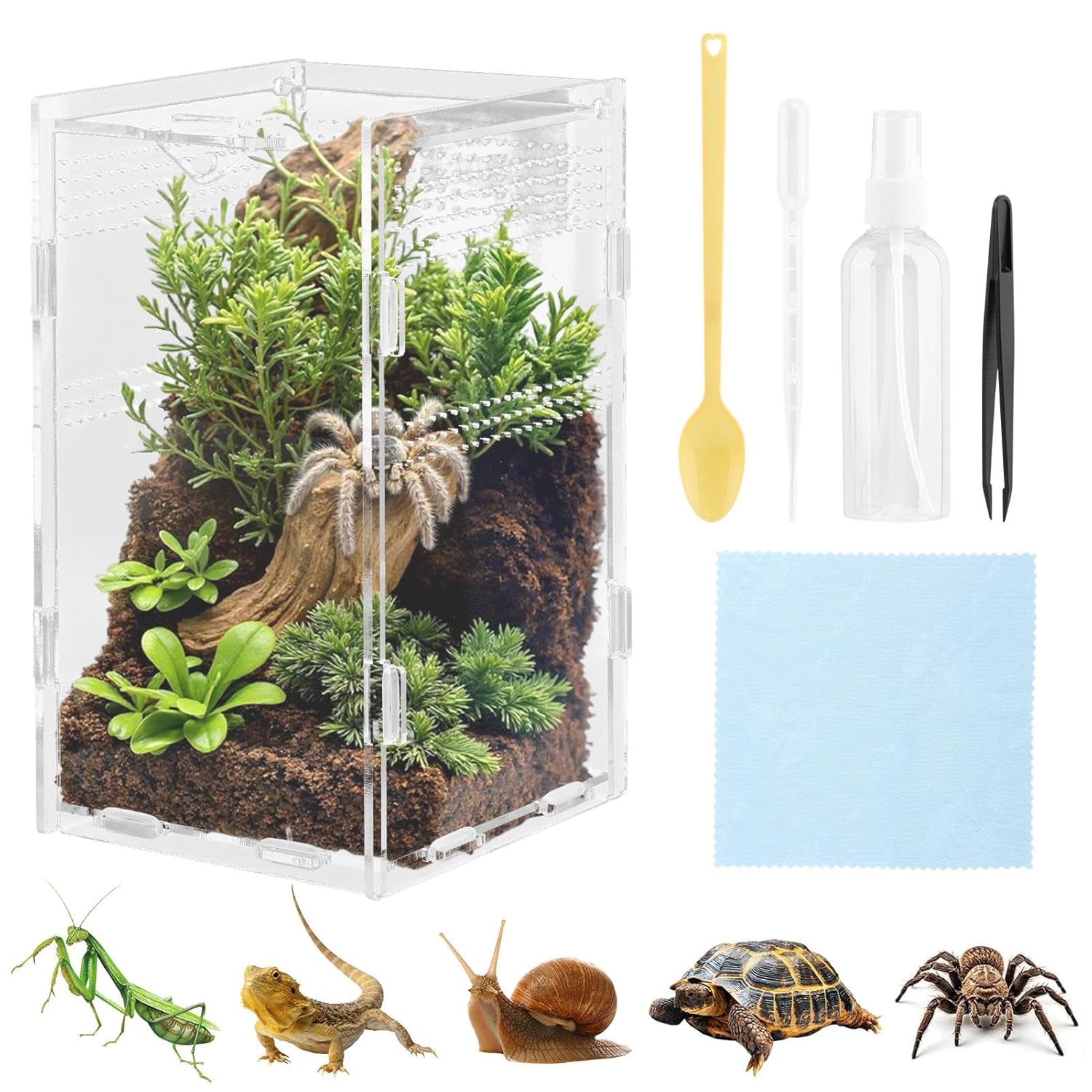 Jumping Spider Enclosure Transparent Acrylic Reptile Enclosure,Arboreal Tarantul-a Enclosure for Spiders,Tarantul-as,Snail,Mantis,Lizard,and Small Reptiles,Magnetic Doors