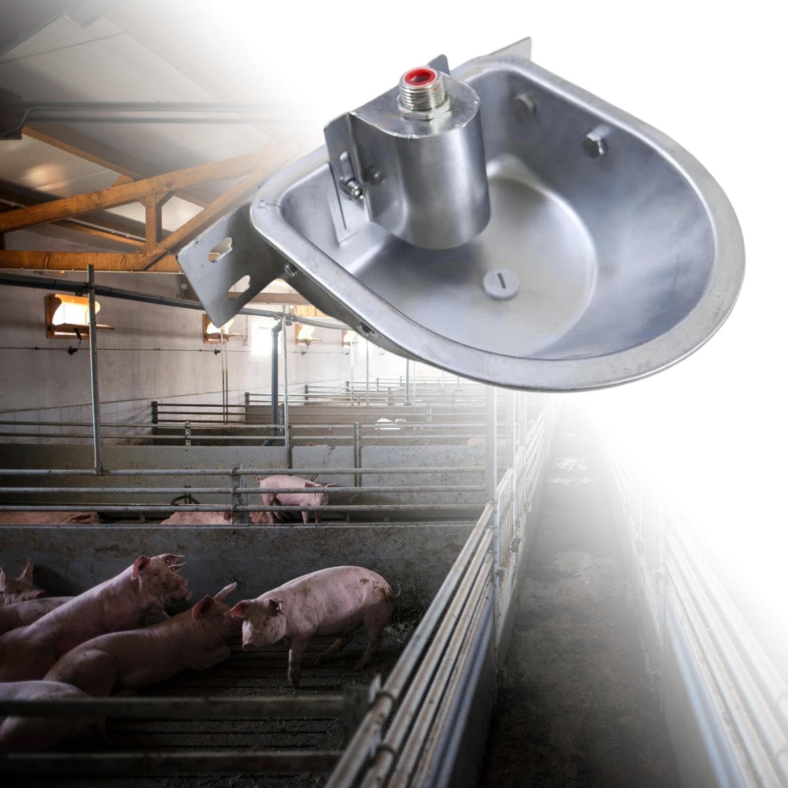 Fontana per abbeveratoio Automatica per Pecore, distributore Automatico di Acqua per bovini, maialini, vitelli, Prato, con Foro di Scarico