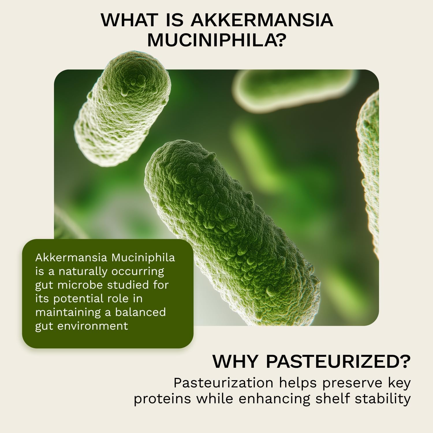 XpandAge Akkermansia Muciniphila with Multi-Strain Probiotic,Berberine HCL,Cinnamon,Inulin Fiber,for Gut Health,Energy, (G*.L*.P*-1),Cellular Health,and Immunity|90 Veg Capsules for a 3-Month Supply