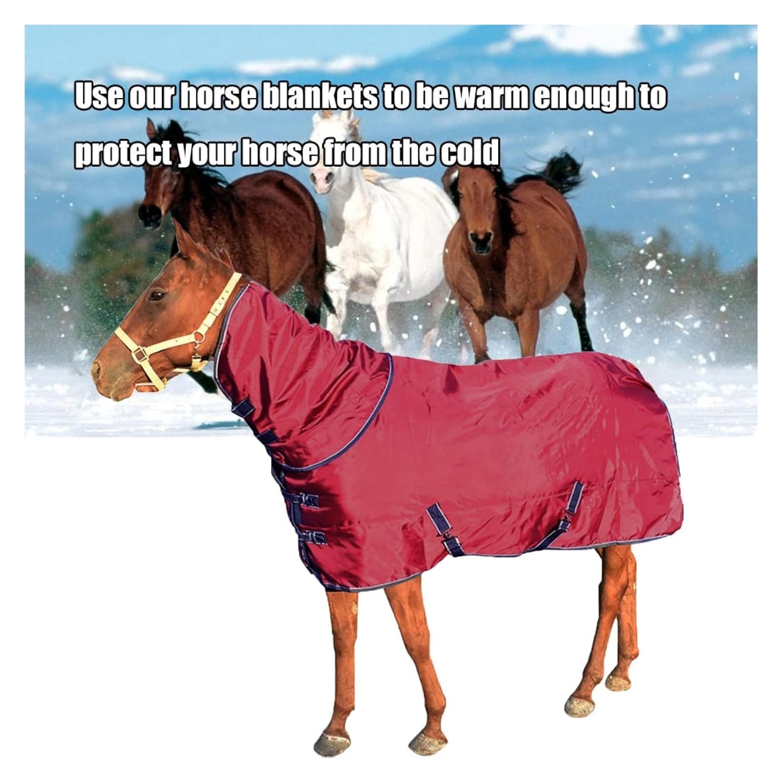 Manta de invierno ligera y transpirable Manta de caballo impermeable de invierno roja, funda de cuello extraíble que envuelve la manta for mantener la ropa de caballo abrigada(135cm/53in)