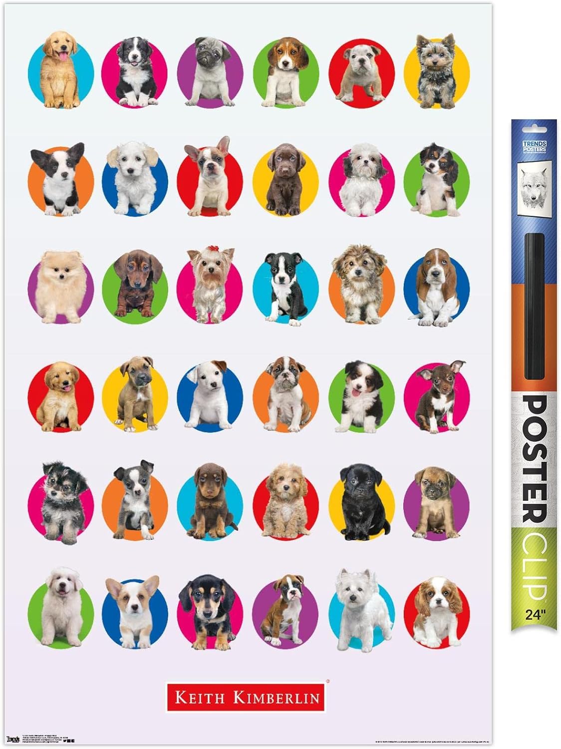 Trends International Keith Kimberlin - Puppy Grid Wall Poster, 22.375" x 34", Print and White Hanger Bundle