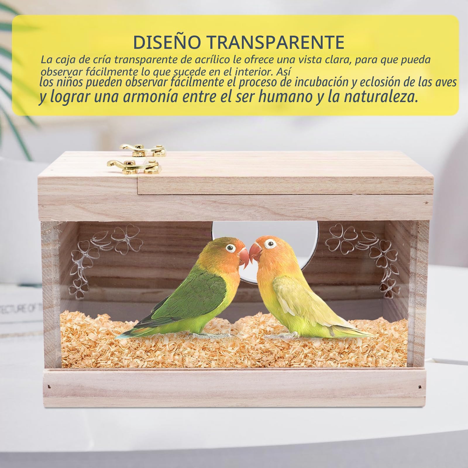 Caja Nido Madera para Periquitos - Caja Transparente para Cría de Pájaros con Pértiga y Ventana Redonda