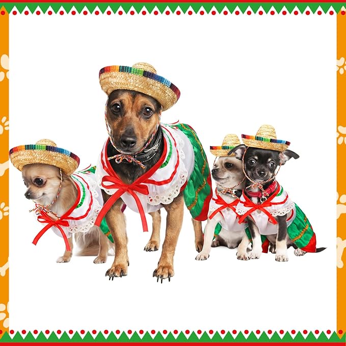 Disfraz Mariachi Mexicano para Perro con Sombrero Talla L miniatura 5