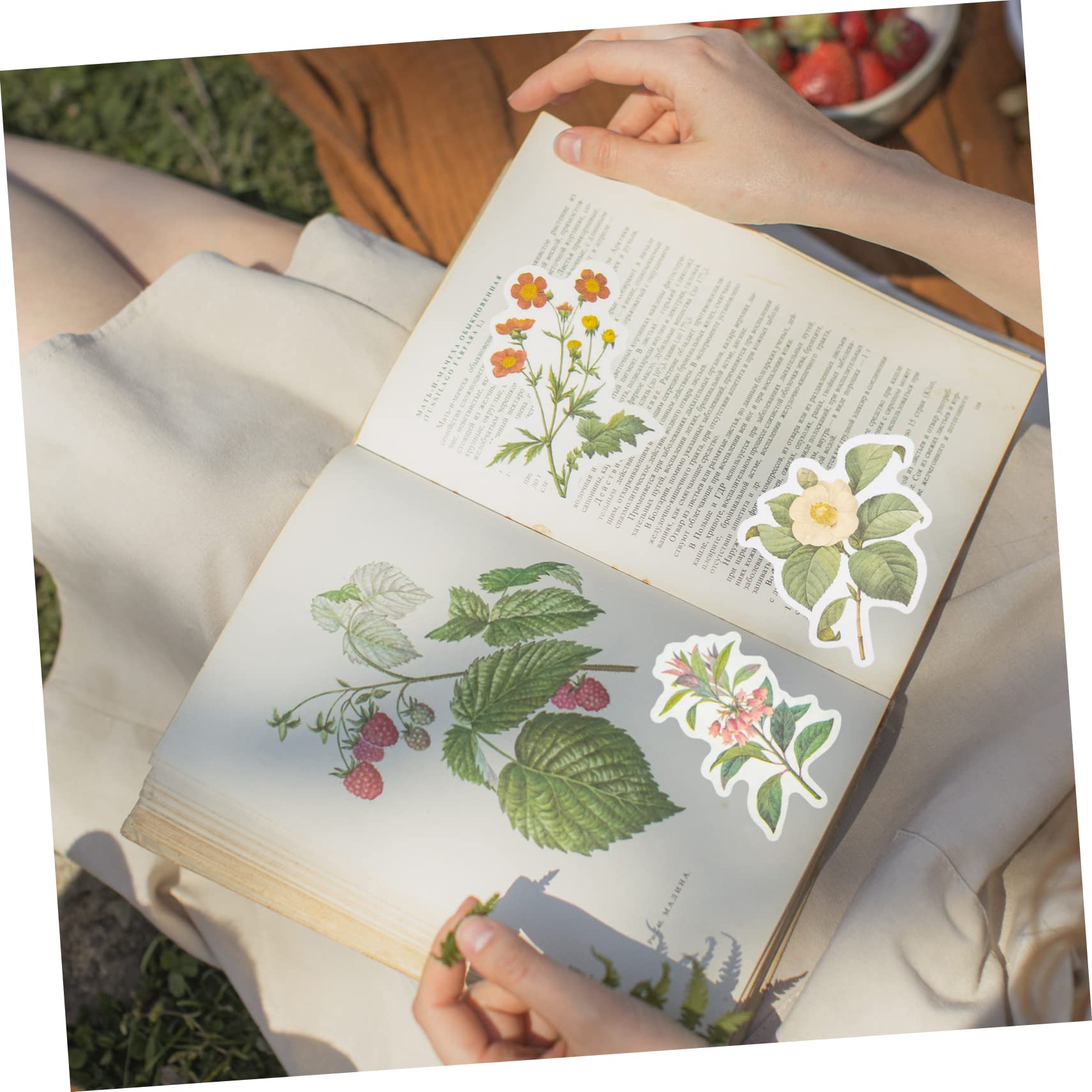 DOITOOL 10 Juegos Pegatinas Retro de Flores para Diario de Stickers Adhesivos Artísticos para Decoración de Plantas Manualidades y Scrapbooking por Set