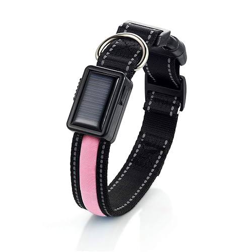 Avaner Collar Reflectante para Perro, Solar/USB Carga LED Light-up Collar para Mascotas