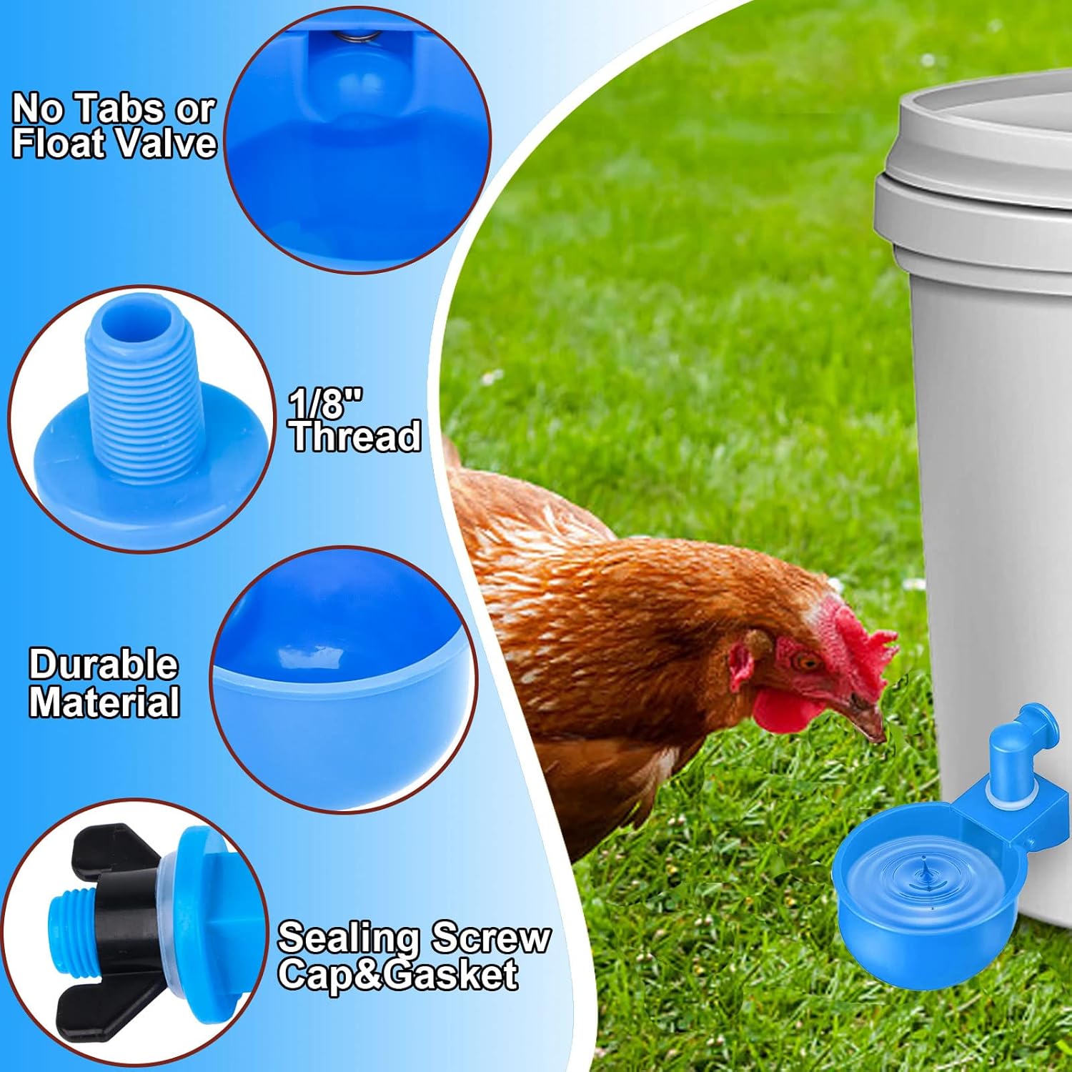 Buy ASOUNY Chicken Waterer Cups,6 Pack Large Automatic Chicken Water