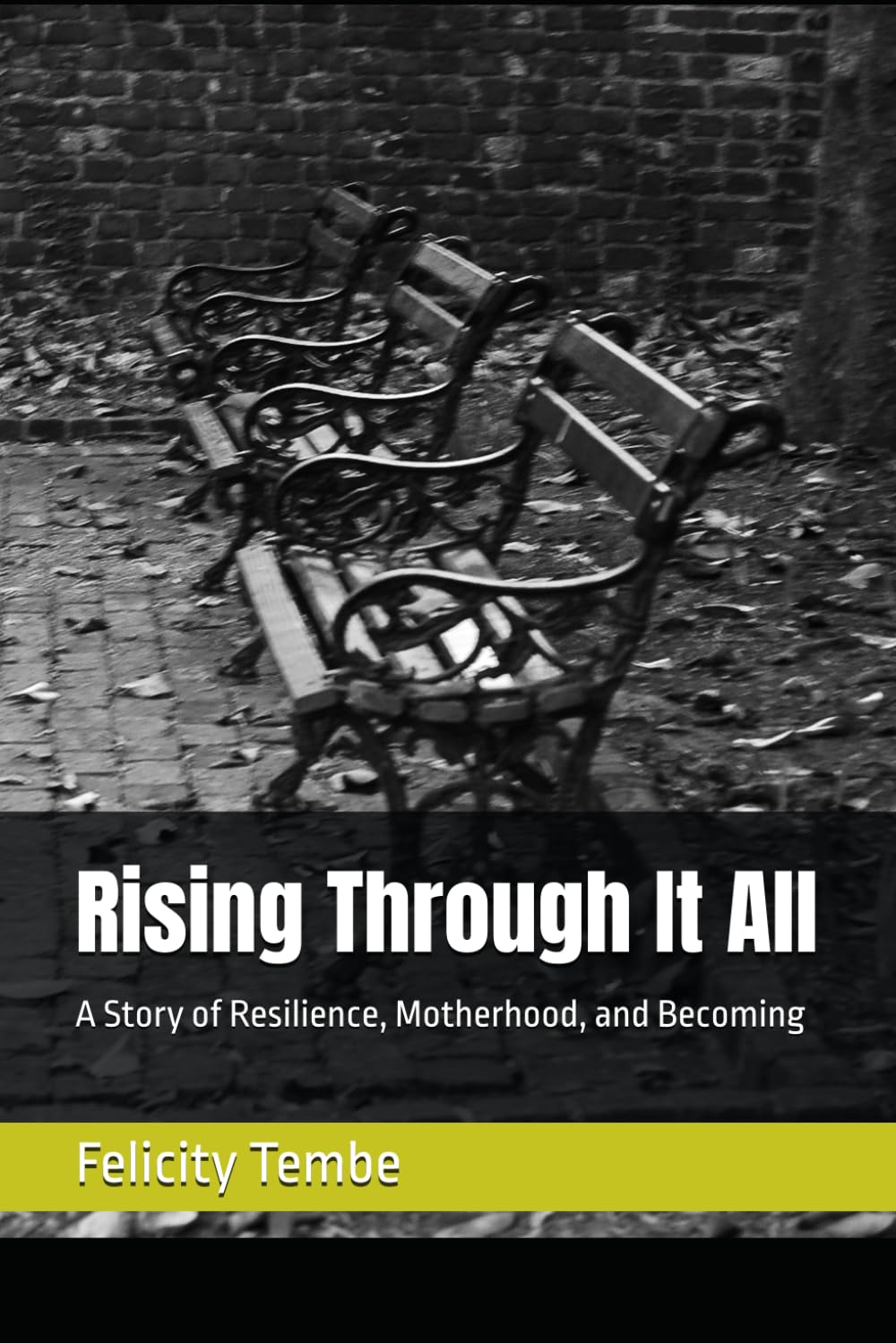 Rising Through It All: A Story of Resilience, Motherhood, and Becoming