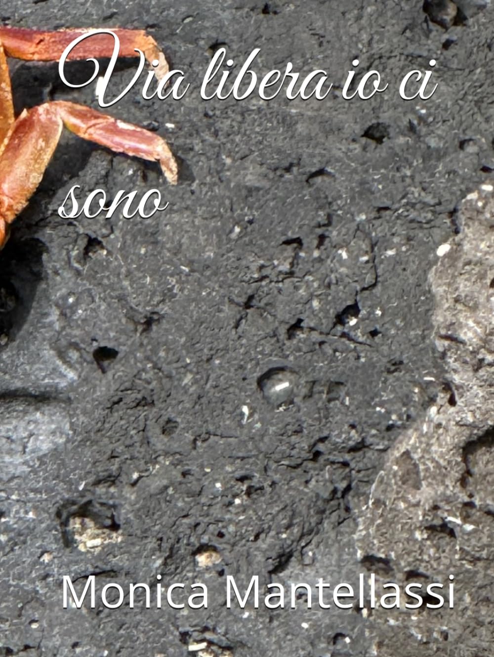 Via libera io ci sono