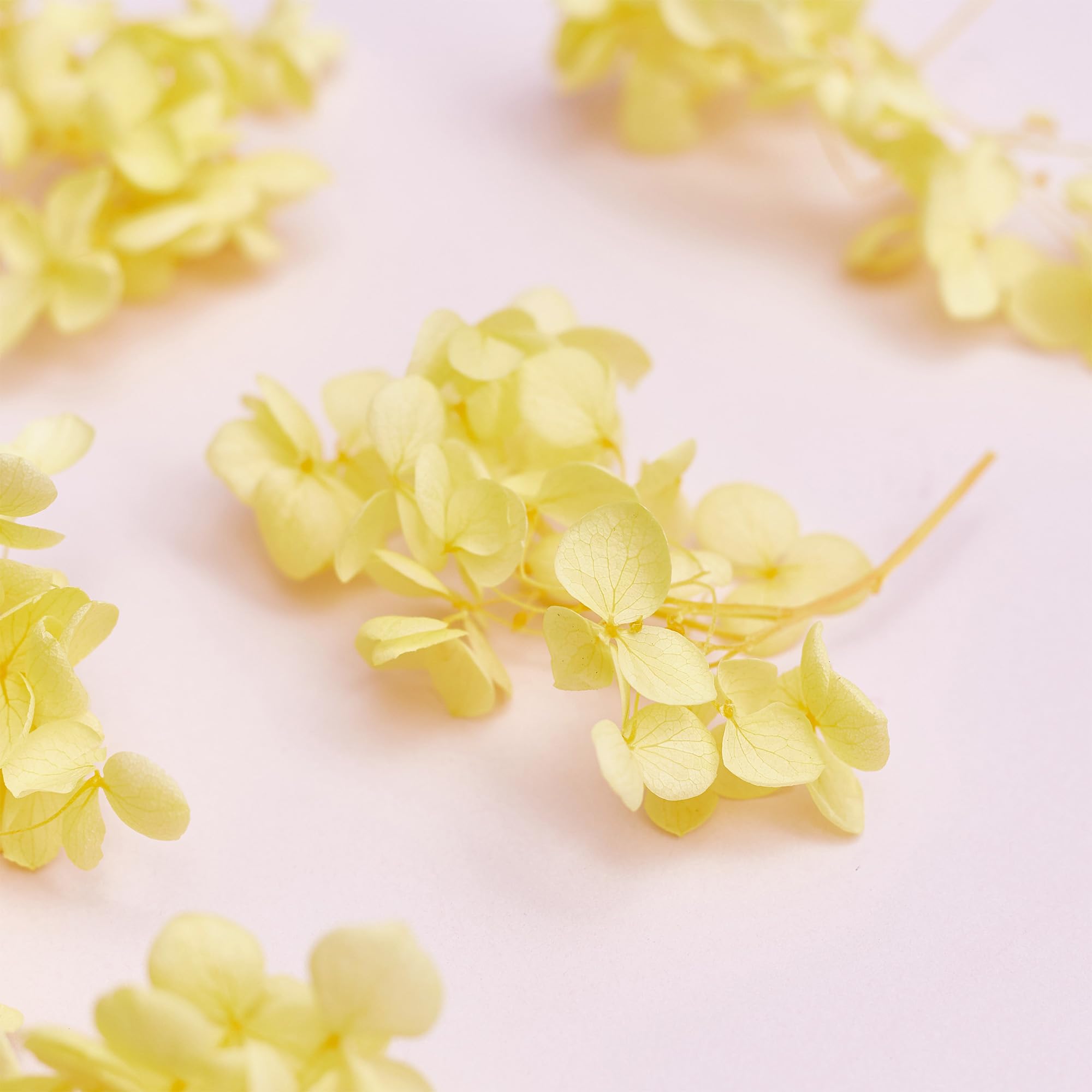 The Baked Studio - Original Dried Flower Hydrangea Set For Cake & Cupcake Decorating & Others Crafts (Yellow) - Image 3