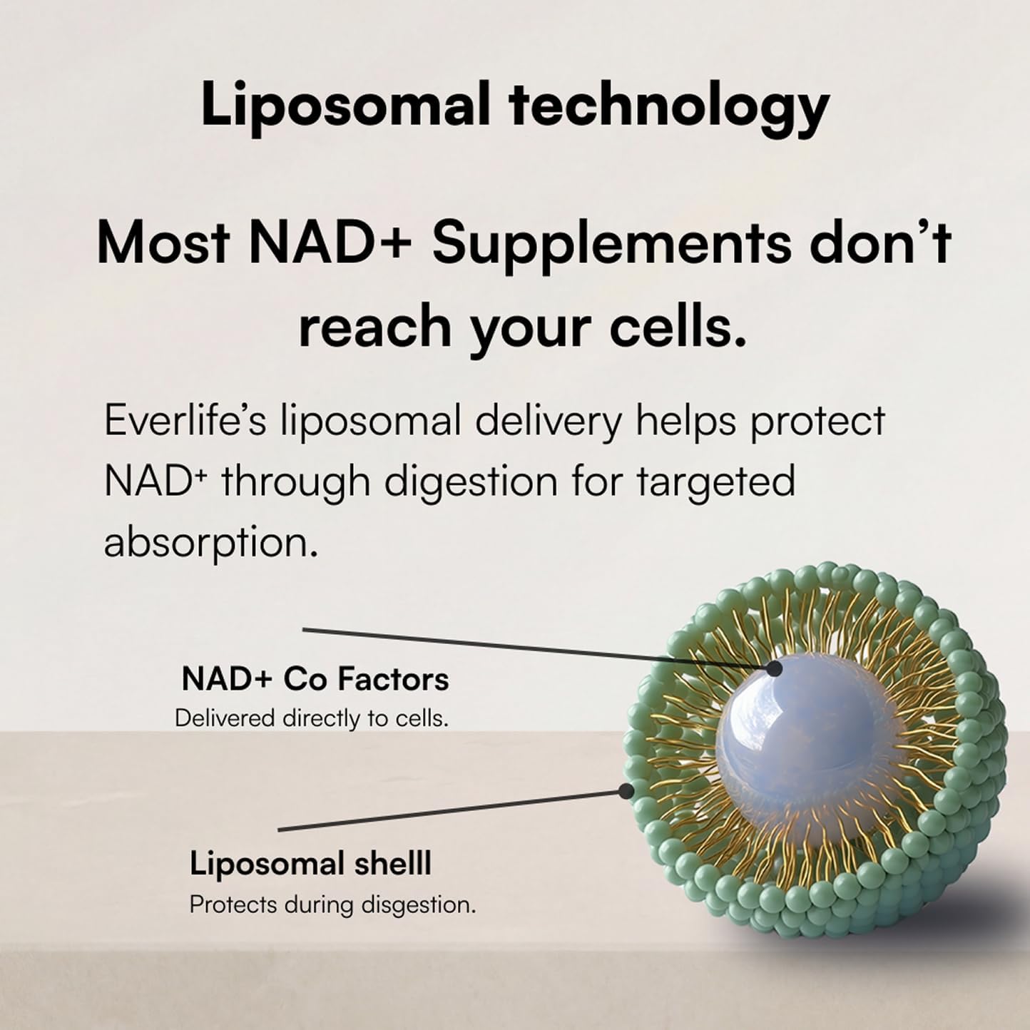 Everlife Liposomal NAD+ Liquid Supplement – 150mg Shot with Liposomal Trans-Resveratrol, TMG & Glycine – Boosts Energy, Cellular Repair, Healthy Aging & Longevity – NMNH Alternative – 30 Servings