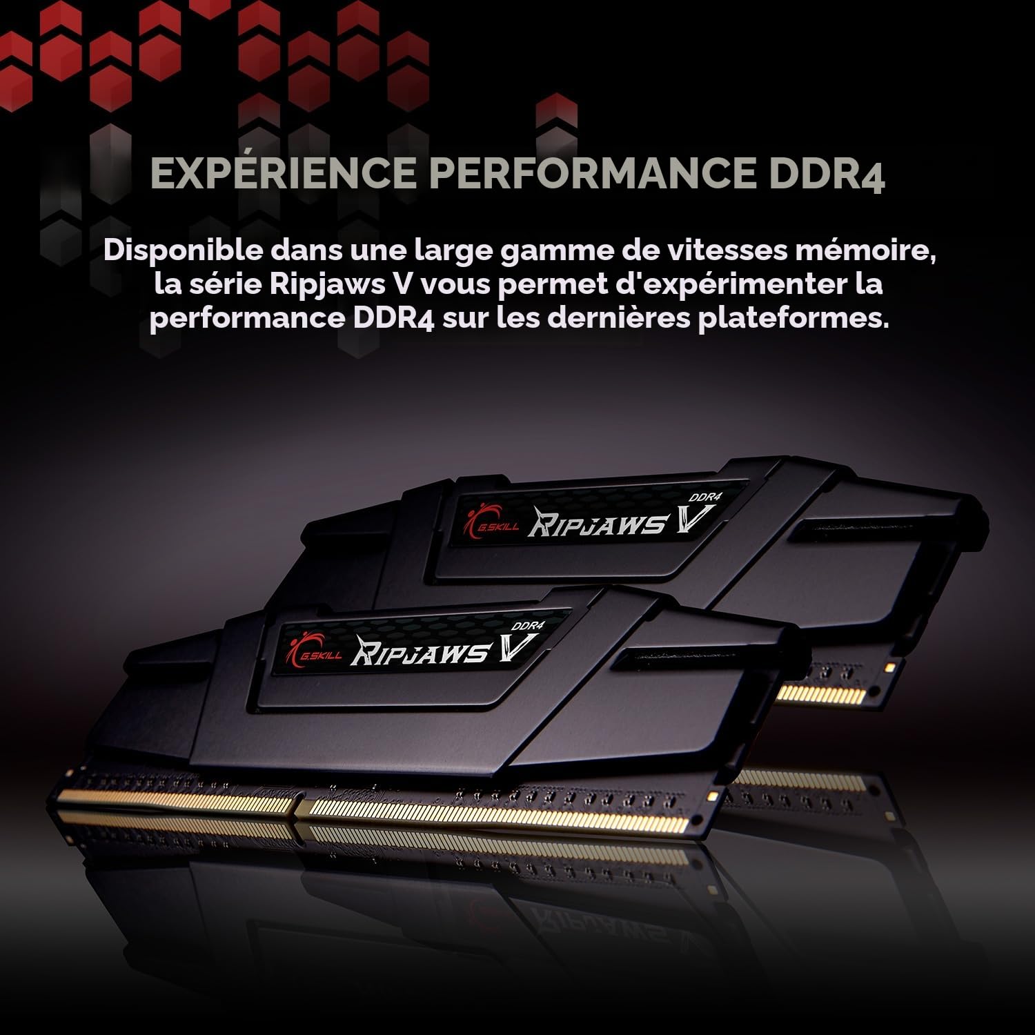 G.SKILL 16GB DDR4 3200MHz Kit Mémoire (2 x 8GB) Noir