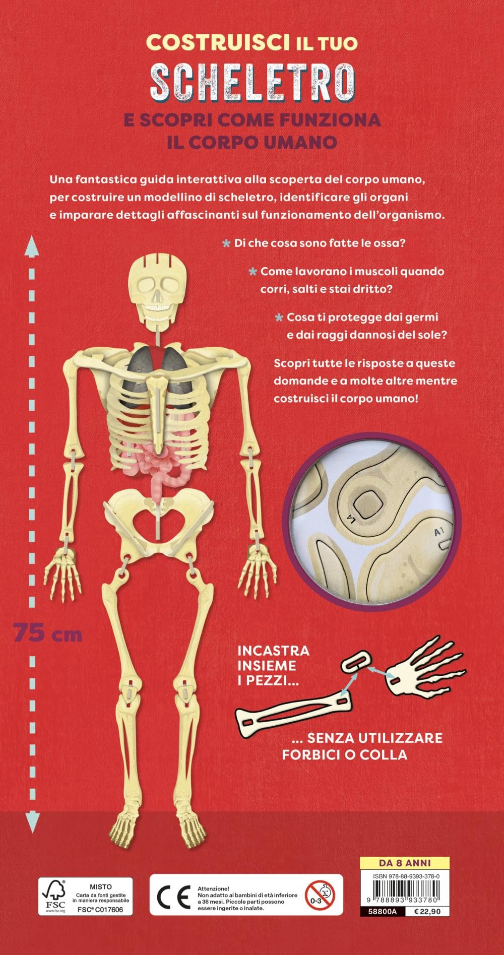 Costruisci il tuo scheletro e scopri come funziona il corpo umano. Ediz. a colori. Con modellino da costruire