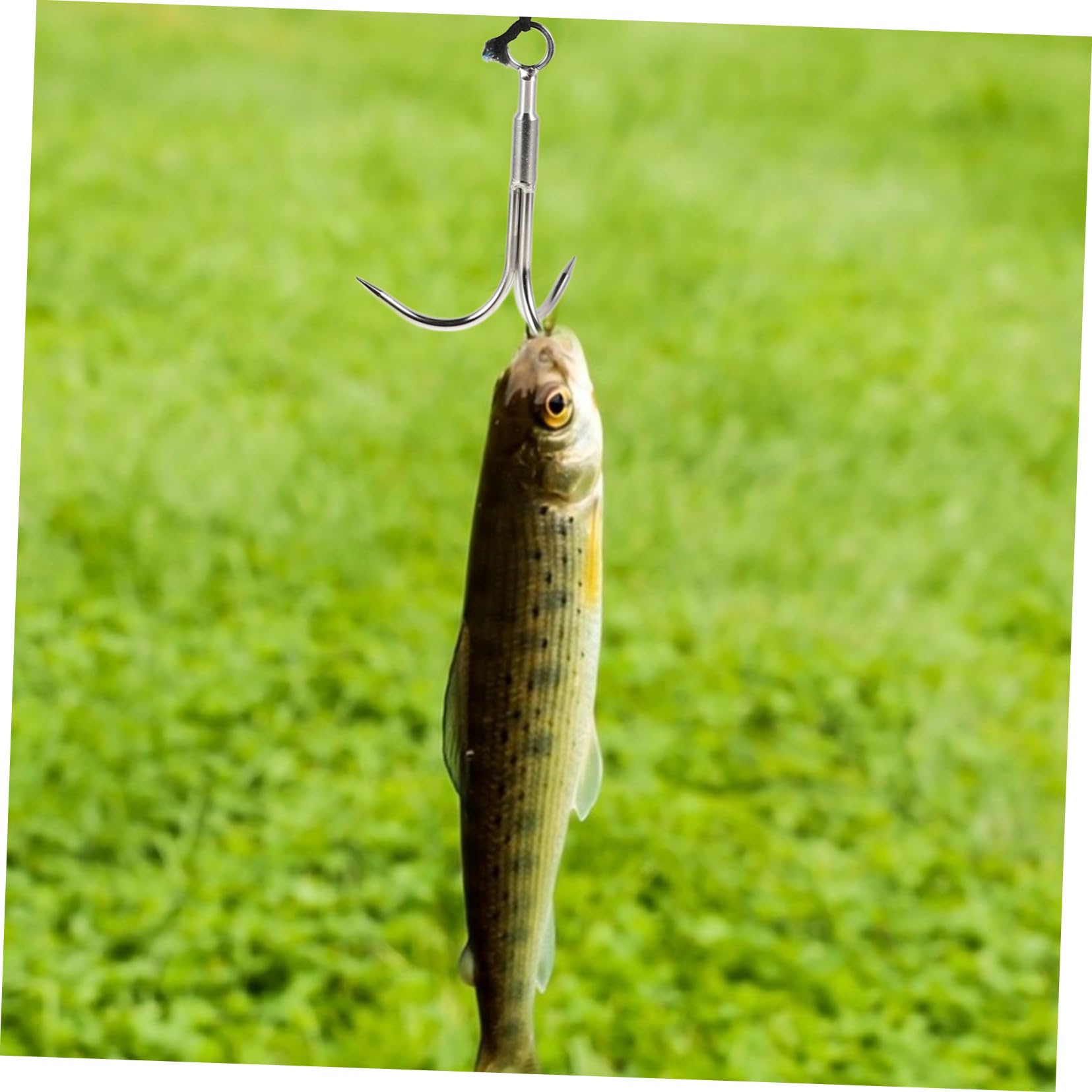 BESPORTBLE Gancho de Escalada de Acero Inoxidable de Tres Garras con Cuerda para Pesca y Actividades al Aire Libre