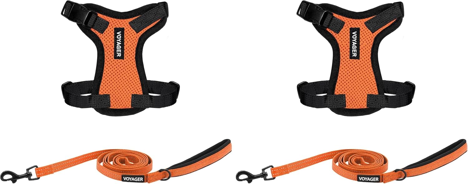 Voyager Step-in Lock Adjustable Cat Harness w. Cat Leash Combo Set with Neoprene Handle 5ft - Supports Small, Medium and Large Breed Cats by Best Pet Supplies - Orange/Black Trim, XXS (Pack of 2)
