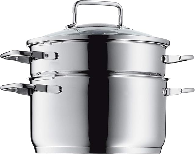 WMF Steamer Ø 20 cm Glass Lid Cromargan® Stainless Steel Brushed Suitable for All Stove Tops Including Induction Dishwasher-Safe