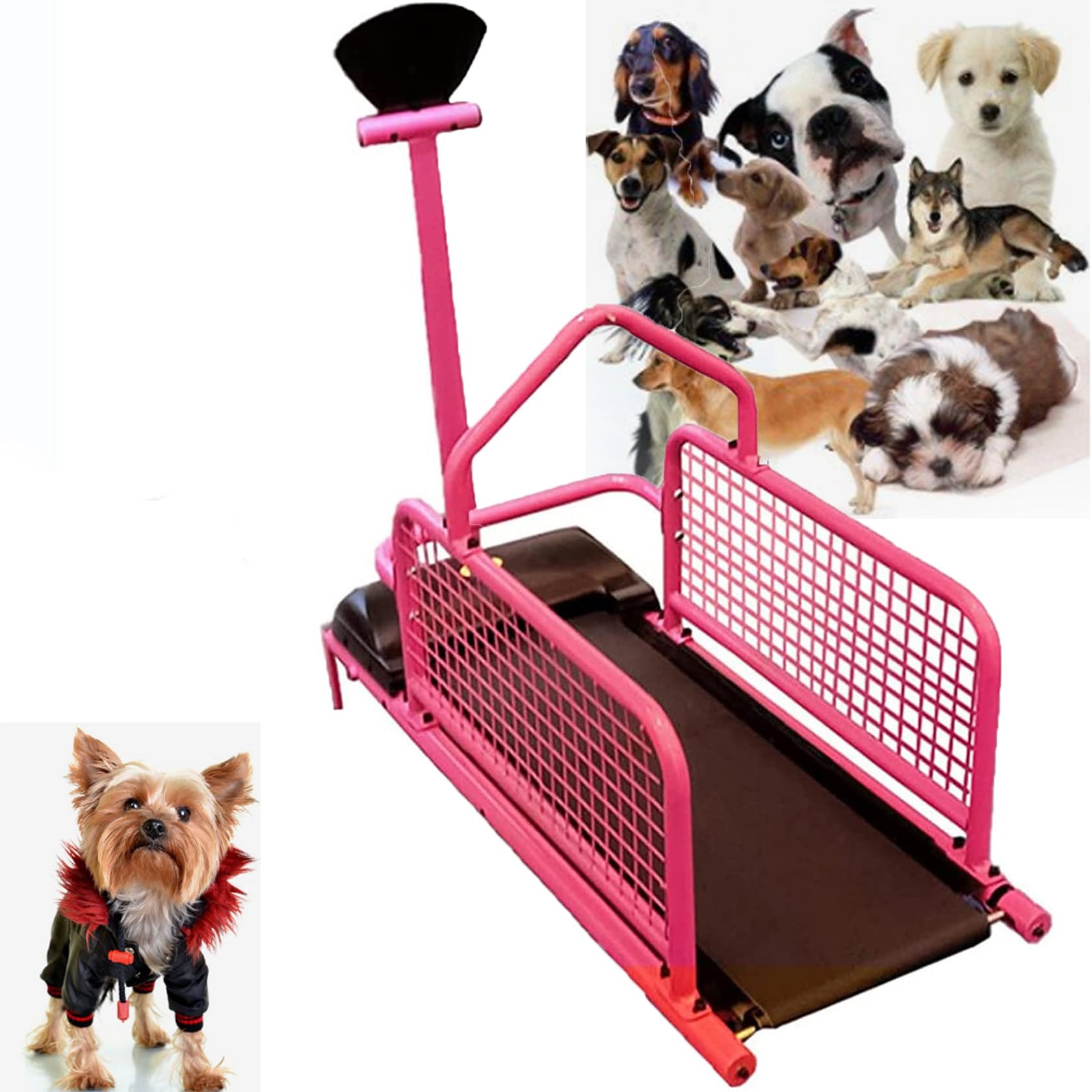 Cinta De Correr para Perros PequeñOs Entrenamiento En Interiores Cinta De Correr para Perros Suministros para Mascotas Velocidad 0,8-6 Km/H con Pantalla LCD para Perros PequeñOs Entrenamiento