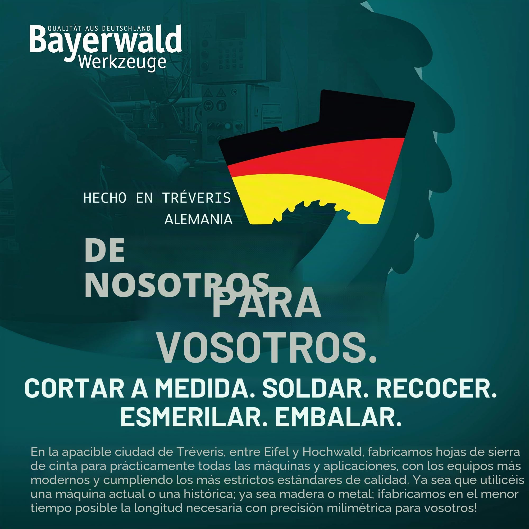 Bayerwald - Hoja de sierra de cinta (1790 x 10 x 0,36 x 6 dientes por pulgada / 4 mm ZAB)