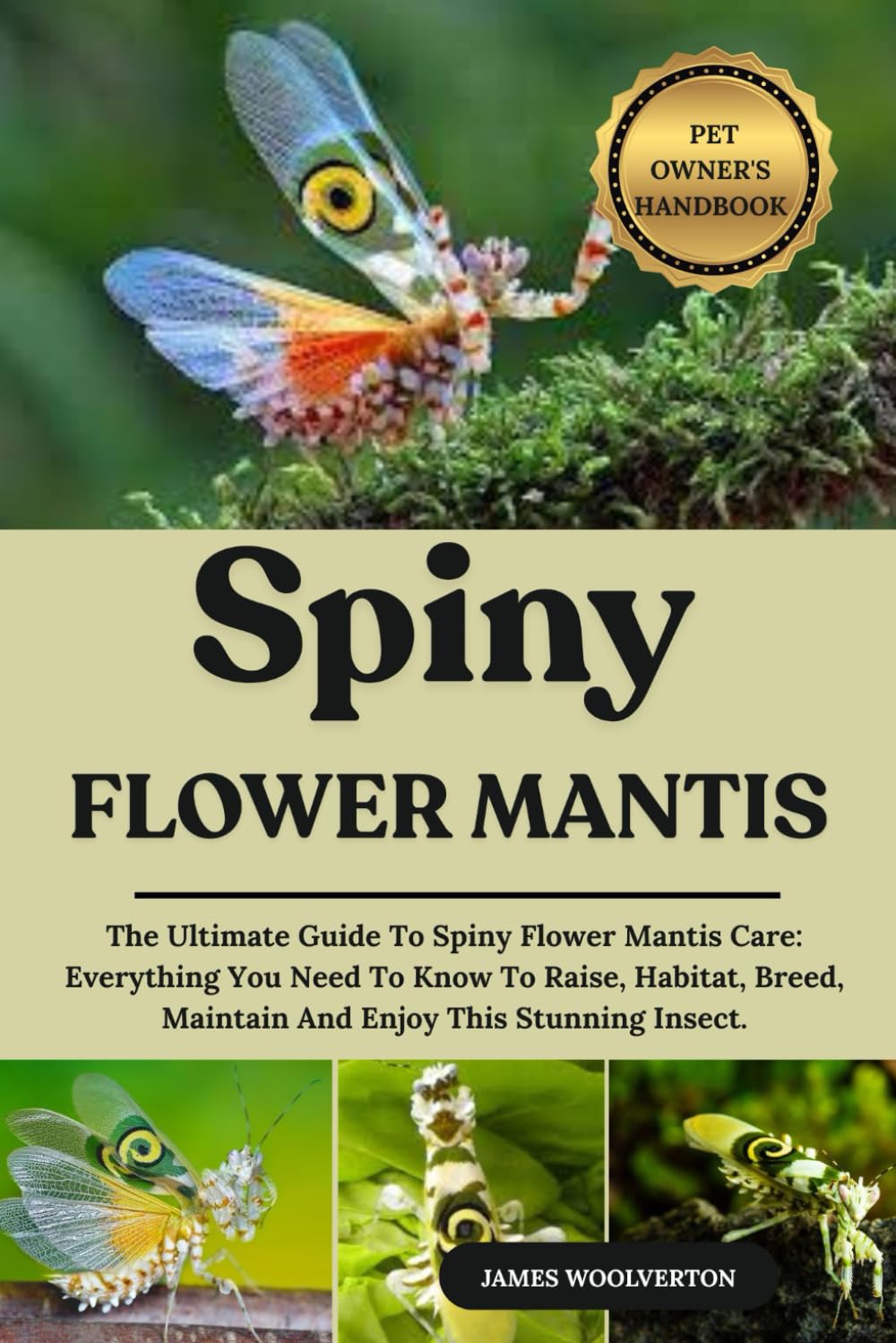 SPINY FLOWER MANTIS: The Ultimate Guide To Spiny Flower Mantis Care: Everything You Need To Know To Raise, Habitat, Breed, Maintain And Enjoy This Stunning Insect.