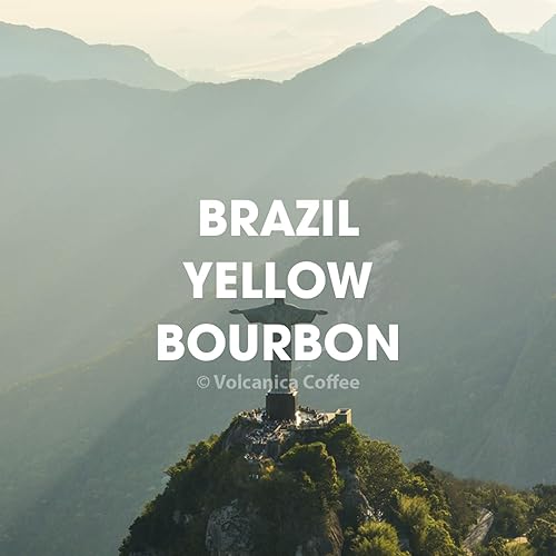 Miniatura 7 de Frijoles de café gourmet