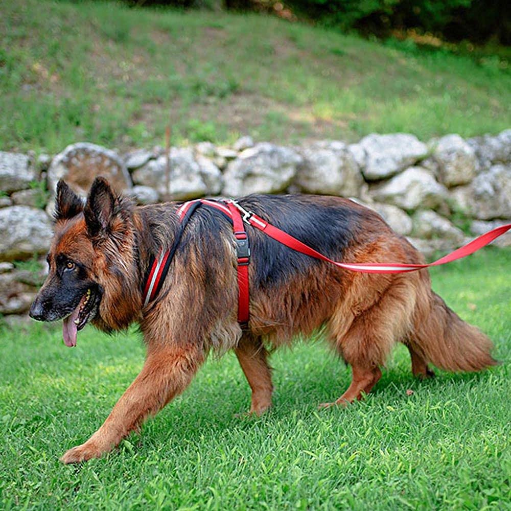 Ferplast Dog Harness DAYTONA CROSS, Large Dog Harness in Nylon, Padded, Reflective and Adjustable. With Magnetic Buckle. Red - Image 2