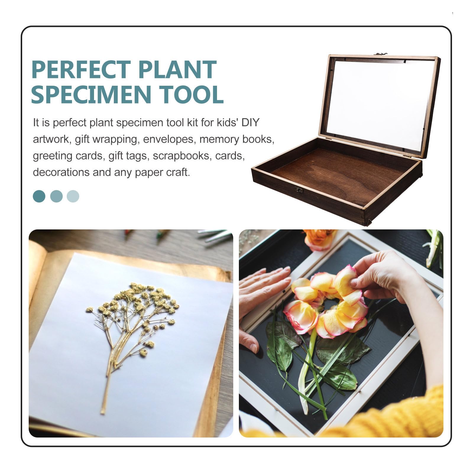 Caja de Exhibición de Muestras con Cerradura, Caja de Madera para Especímenes, Vitrina Retro para Manualidades y Joyas, con Tapa Transparente Varios Estilos