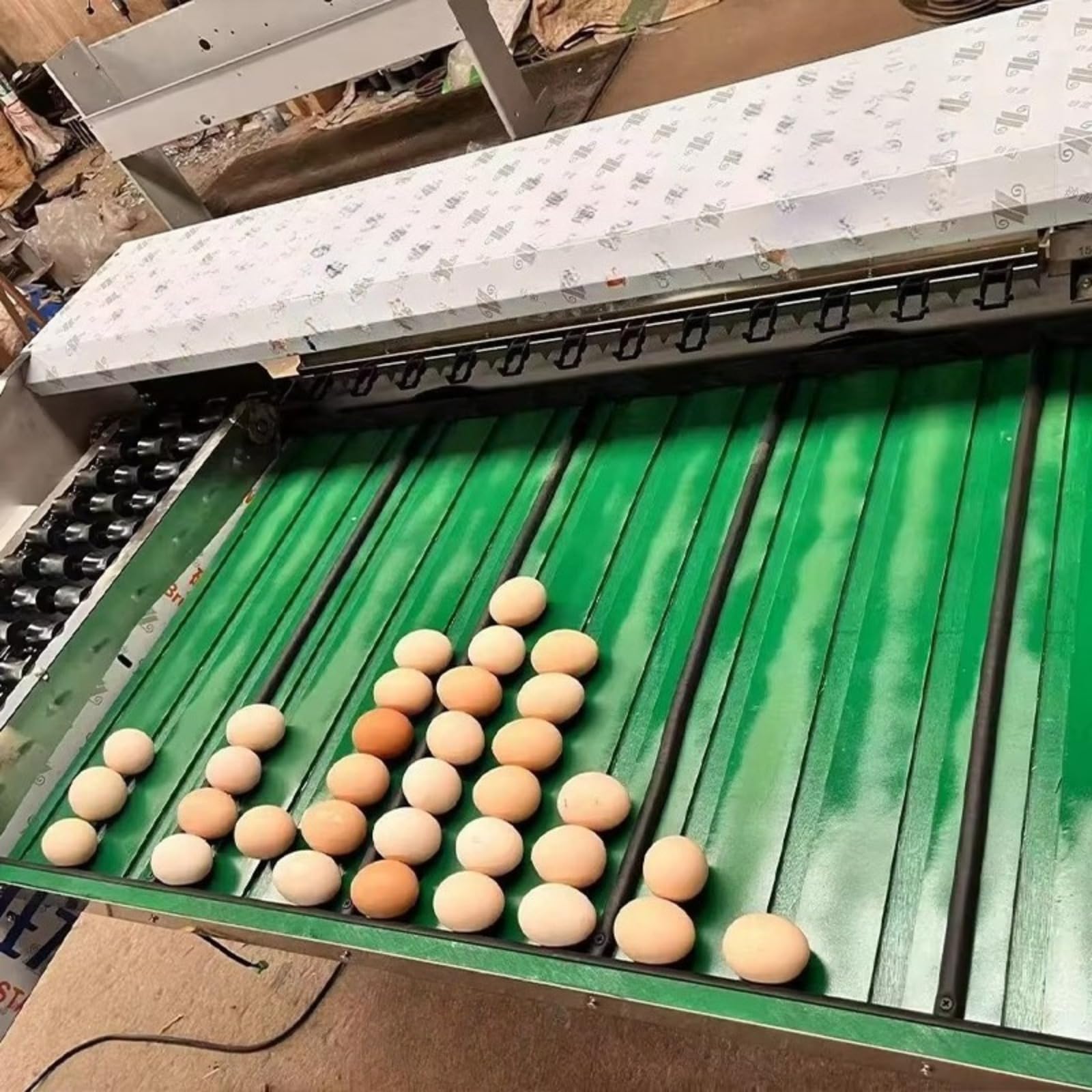 Macchina automatica per la classificazione delle uova con ispezione
