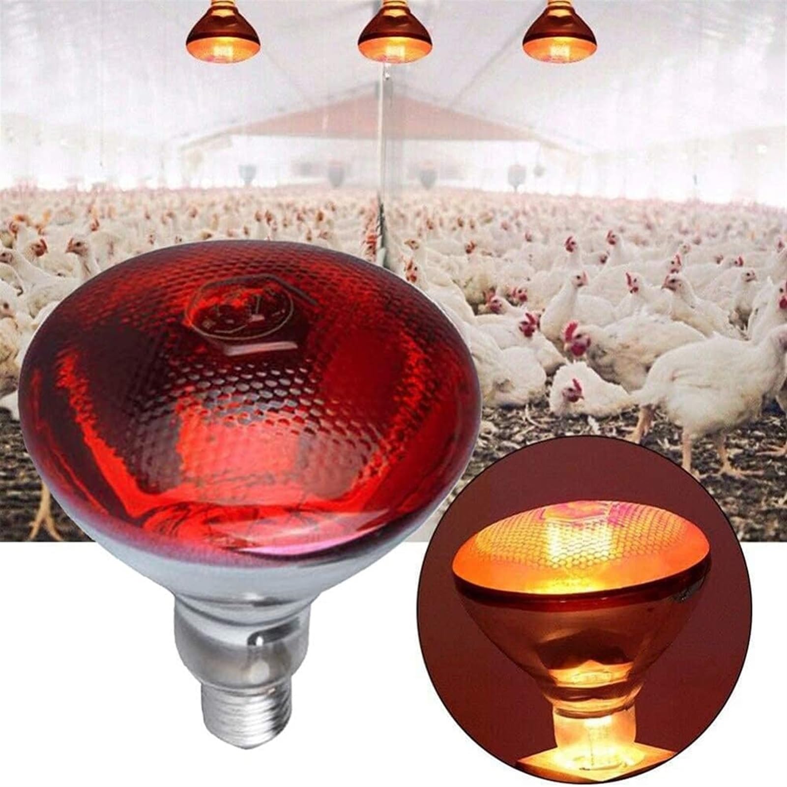 Czerwone żarówki lampy ciepła, żarówka lampy na podczerwień, lampa grzewcza z emiterem ciepła dla gadów na podczerwień, żarówka fokus do gastronomii, żarówka fo