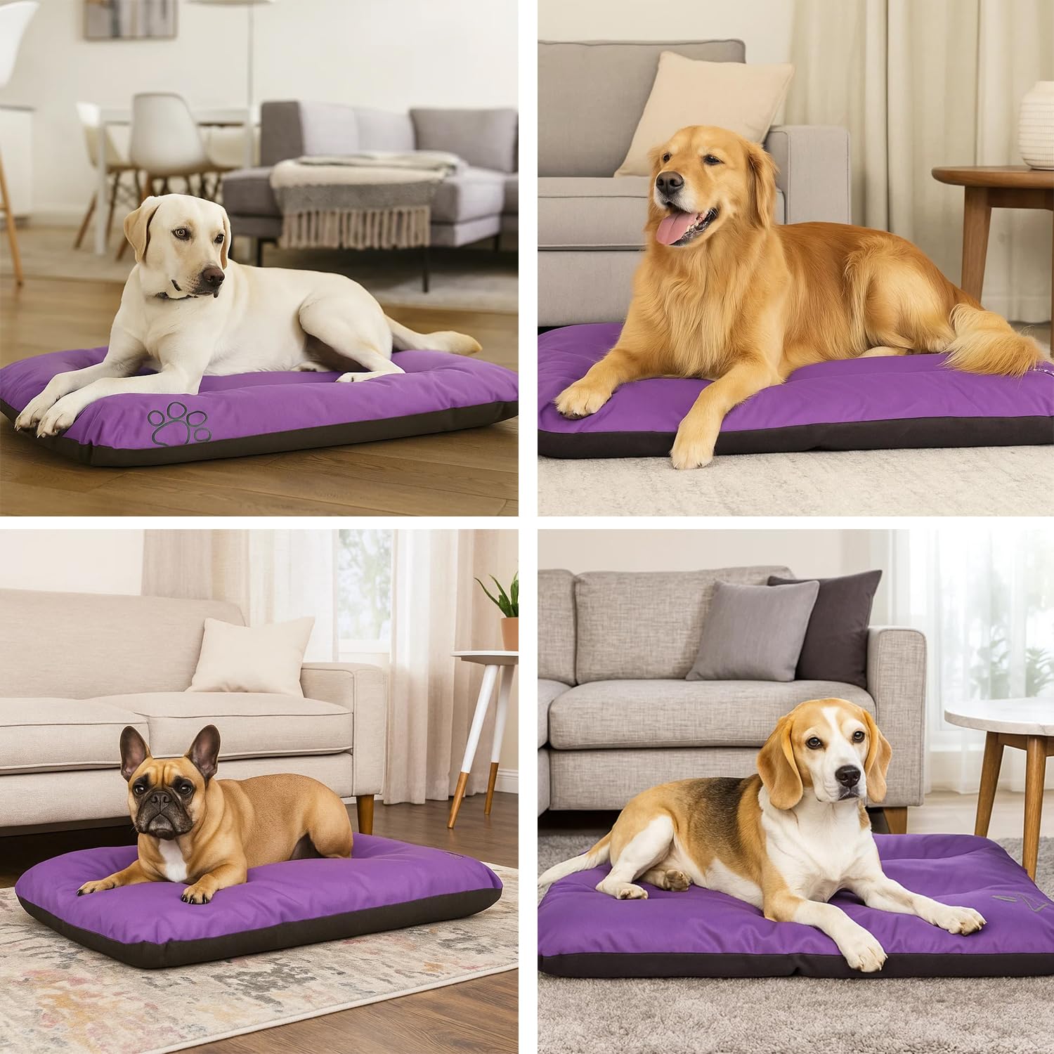 ECO Hundematratze, Hundebett für Kleine, Mittlere, Große Hunde - wetterfestes Hundekissen, kuscheliges Schaum Tierbett, Outdoor & Robustes Hundematte - 115x80x12 cm Lila