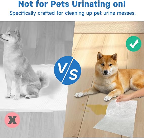 Pet Pee Quick-Absorb Sheets 50 pcs Disposable Absorb Pee Sheets for Cats Dogs, 12x10 Dog Pee Sheet, Double-Sided Absorbent Urine Sheets, Quick Drying Sheet for Dog Pee Liquid
