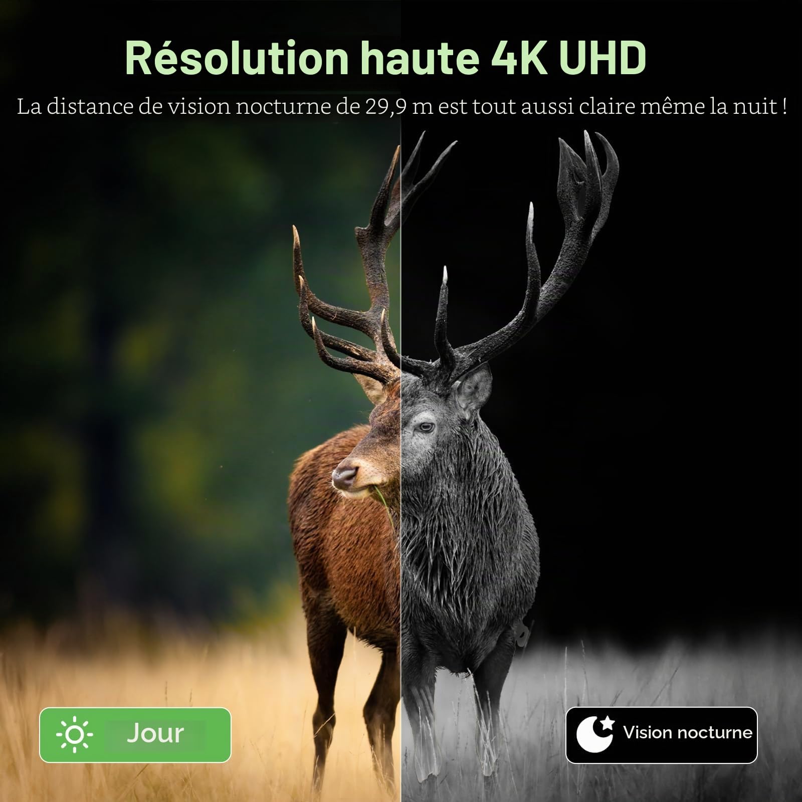Caméra de chasse 4G LTE solaire avec carte SIM, phototrapage 4K sans WiFi, batterie 10 400 mAh, vision nocturne 950 nm IR invisible, audio bidirectionnel, activation 0,2 s, IP66 étanche