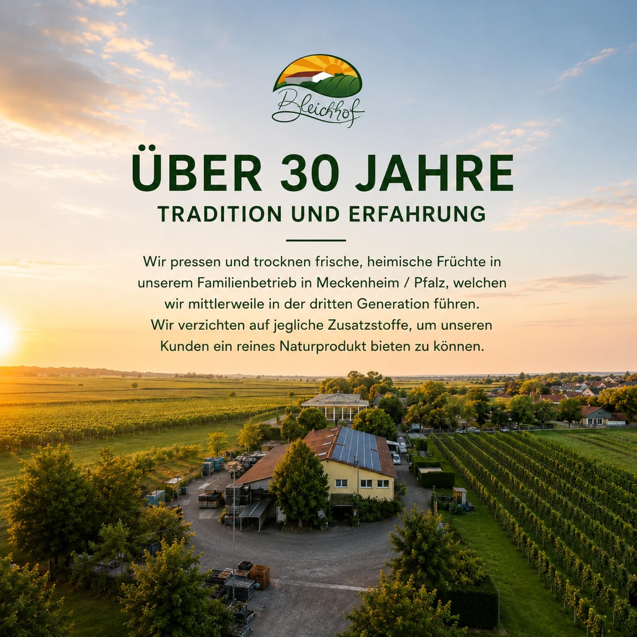 BLEICHHOF® Bio-Granatapfelsaft DE-ÖKO-006 -Direktsaft, vegan (12x0,72l)