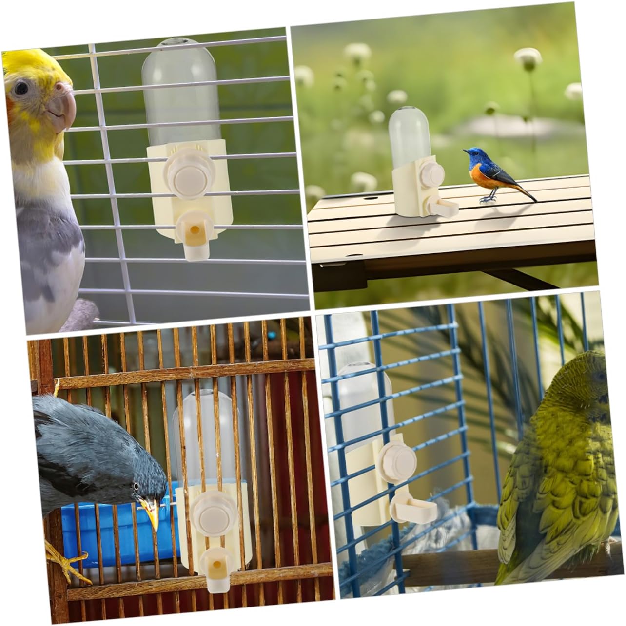 2PCS Pigeon Water Dispenser Automatic Bird Watering Device for Parakeets and Small Pets Easy to Clean Dual Functionality Reliable Water Source for Cages and Accessories