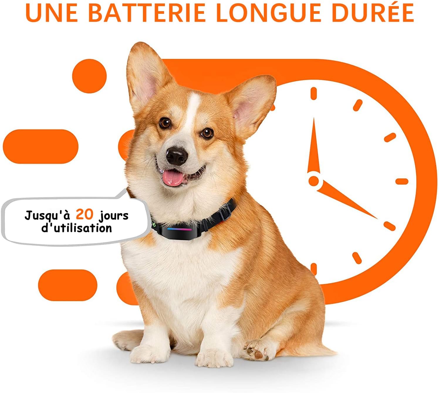 Conseils pour utiliser le collier anti aboiement