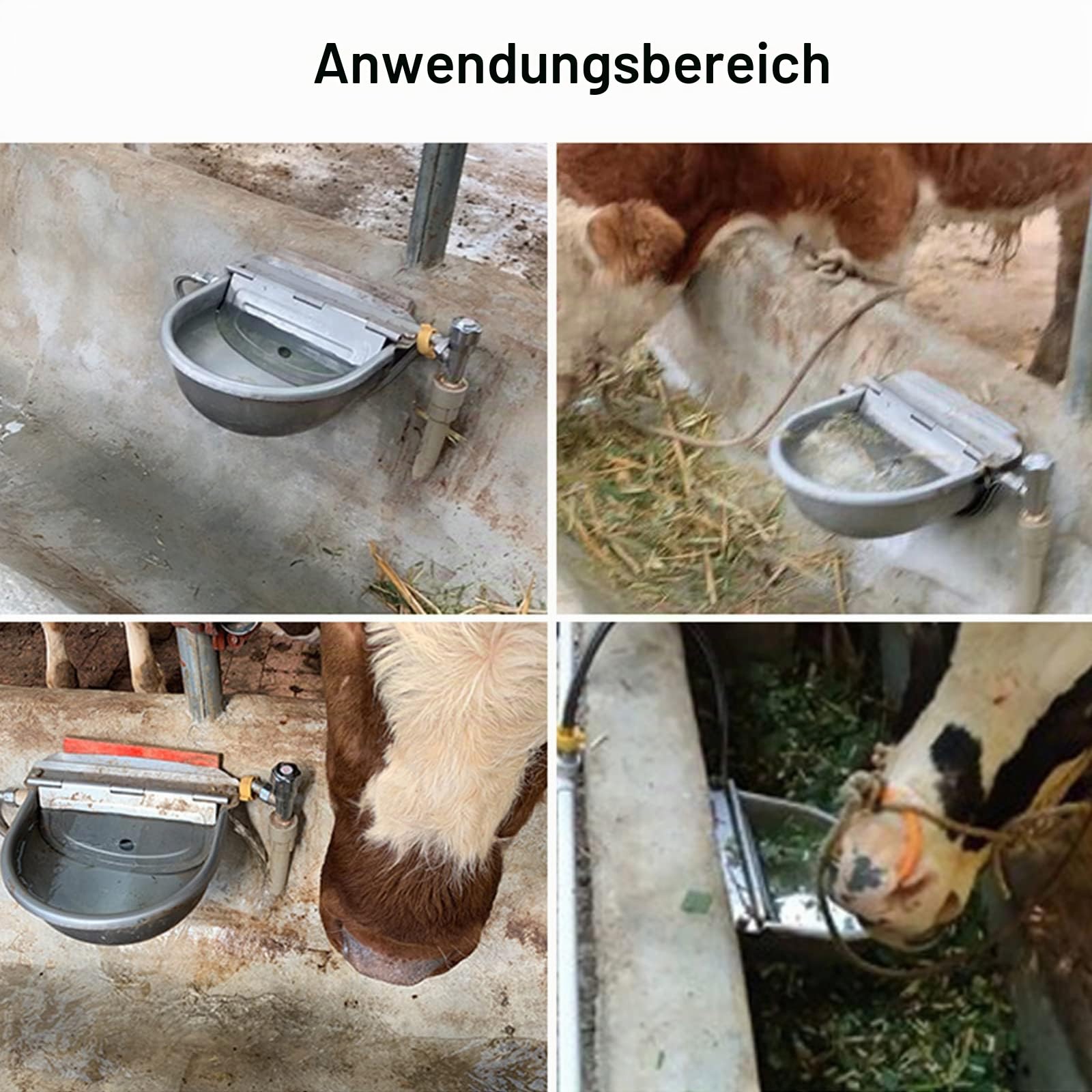 Edelstahl Rinder Viehtränke Tränkebecken mit Schwimmer Ventil 4L für Pferde Rinder Schafe