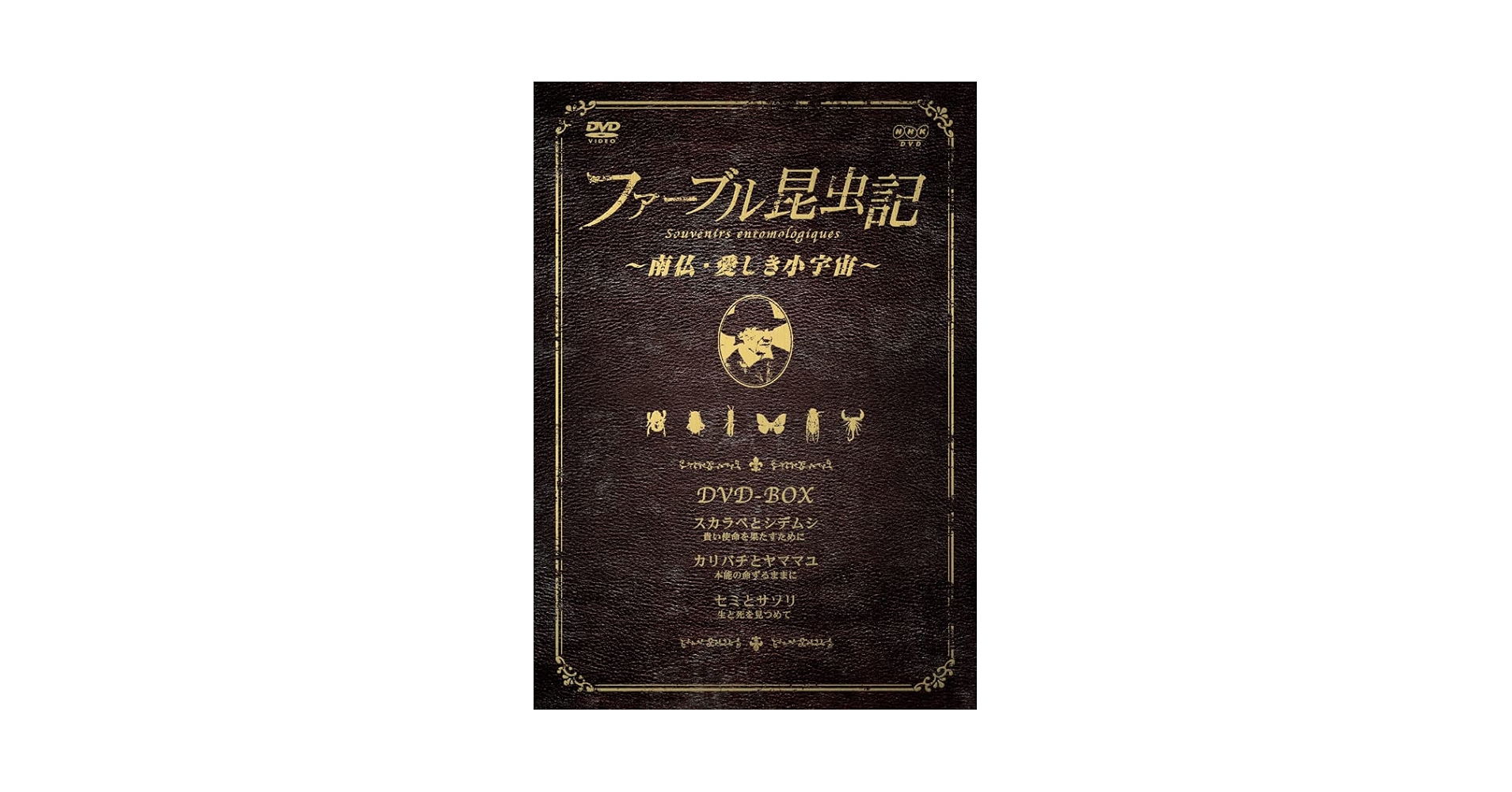 Amazon.co.jp: ファーブル昆虫記 南仏・愛しき小宇宙 DVD-BOX : DVD