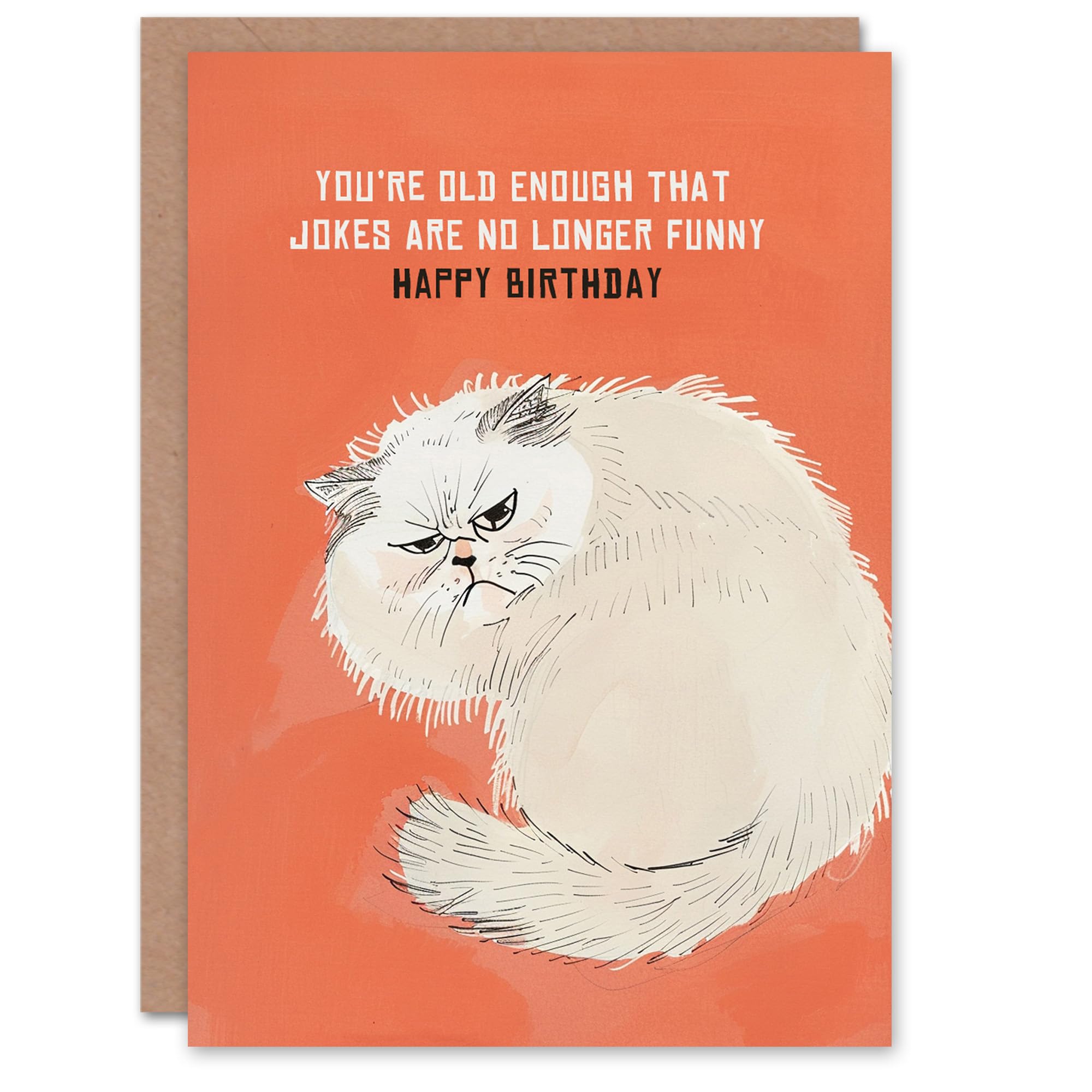 Artery8 Jokes Not Funny Old Age Joke Grumpy Cat Lover Blank For Him Or Her Art Birthday Card