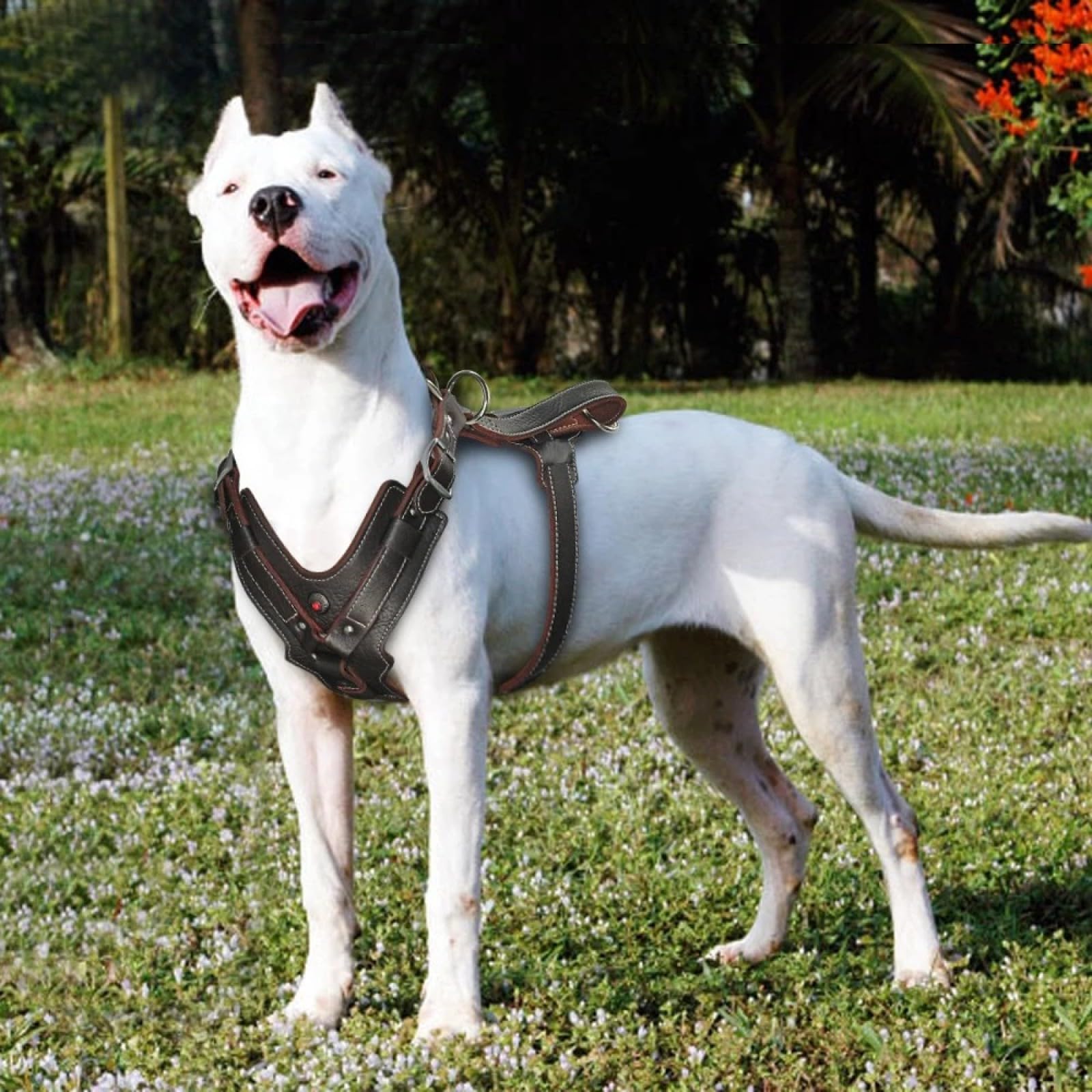 Control Rápido Ajustable con Mango, Arnés para Perros Grandes, Chaleco De Cuero Genuino Duradero para Perros, Arneses para Labrador Bulldog,Marrón,3XL