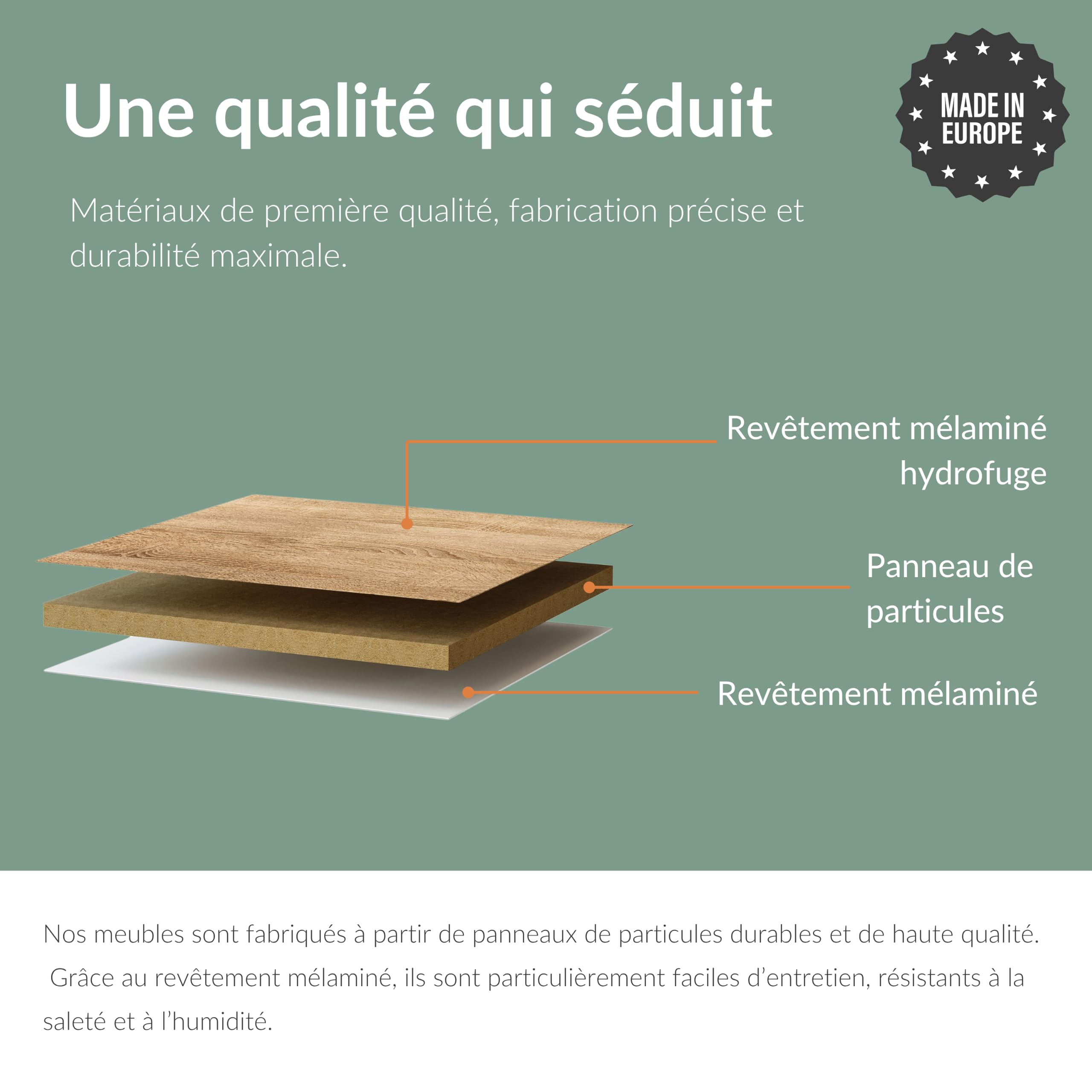 Planetmöbel Meuble d’Entrée avec Armoire Murale 2X 100 cm, Chêne doré, Vestiaire Compact avec Rangement à Abattant, Suspendue ou à Poser, 37,8 x 100 x 32,5 cm