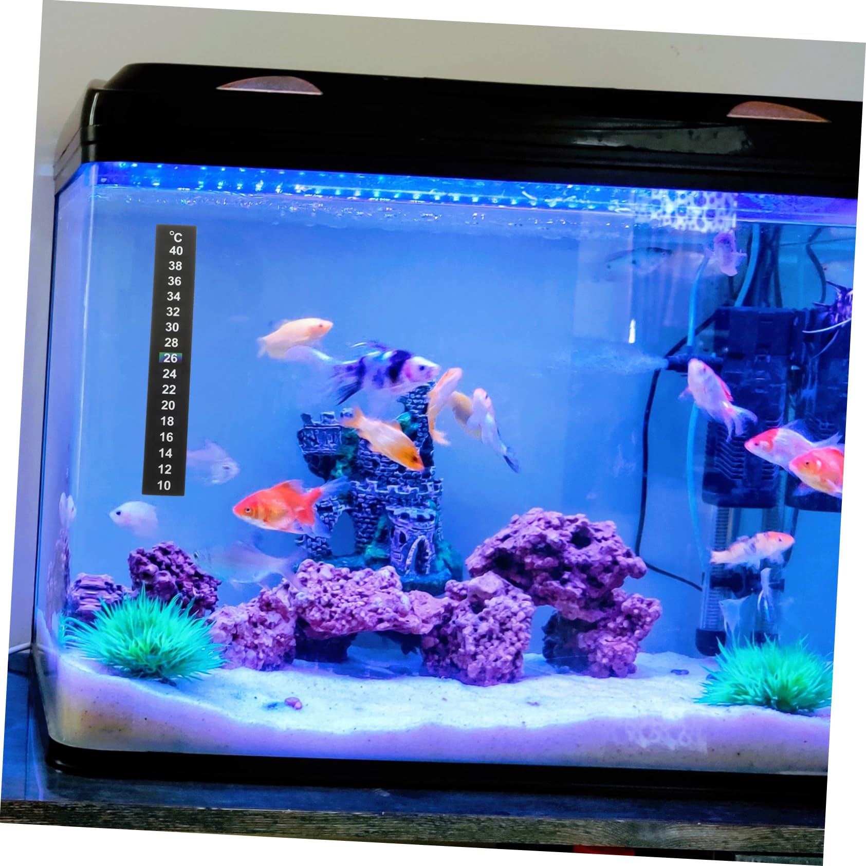 Yardwe 150 Stk Thermometerstreifen Wein Aquariumstreifen flüssig Fieber digitales Thermometer Nagelaufkleber spezielles Thermometerband Innenthermometer drinnen Klebestreifen Klebeband
