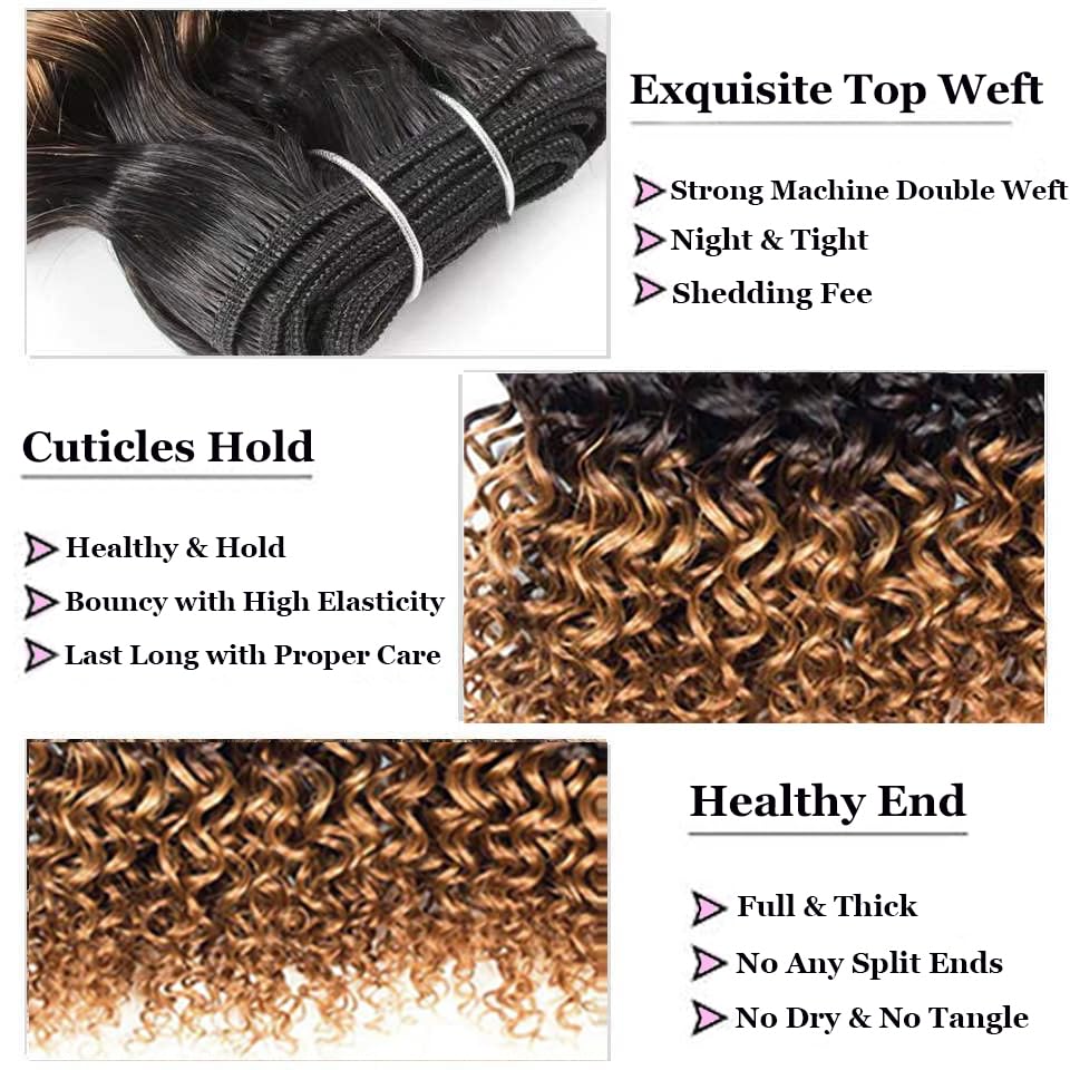 Kinky Curly Bundles Human Hair 4 Bundles Curly Bundles Human Hair 1B/30 Color Afro Weave 12A Brazilian Curly Virgin Hair (8888,1B/30) thumbnail