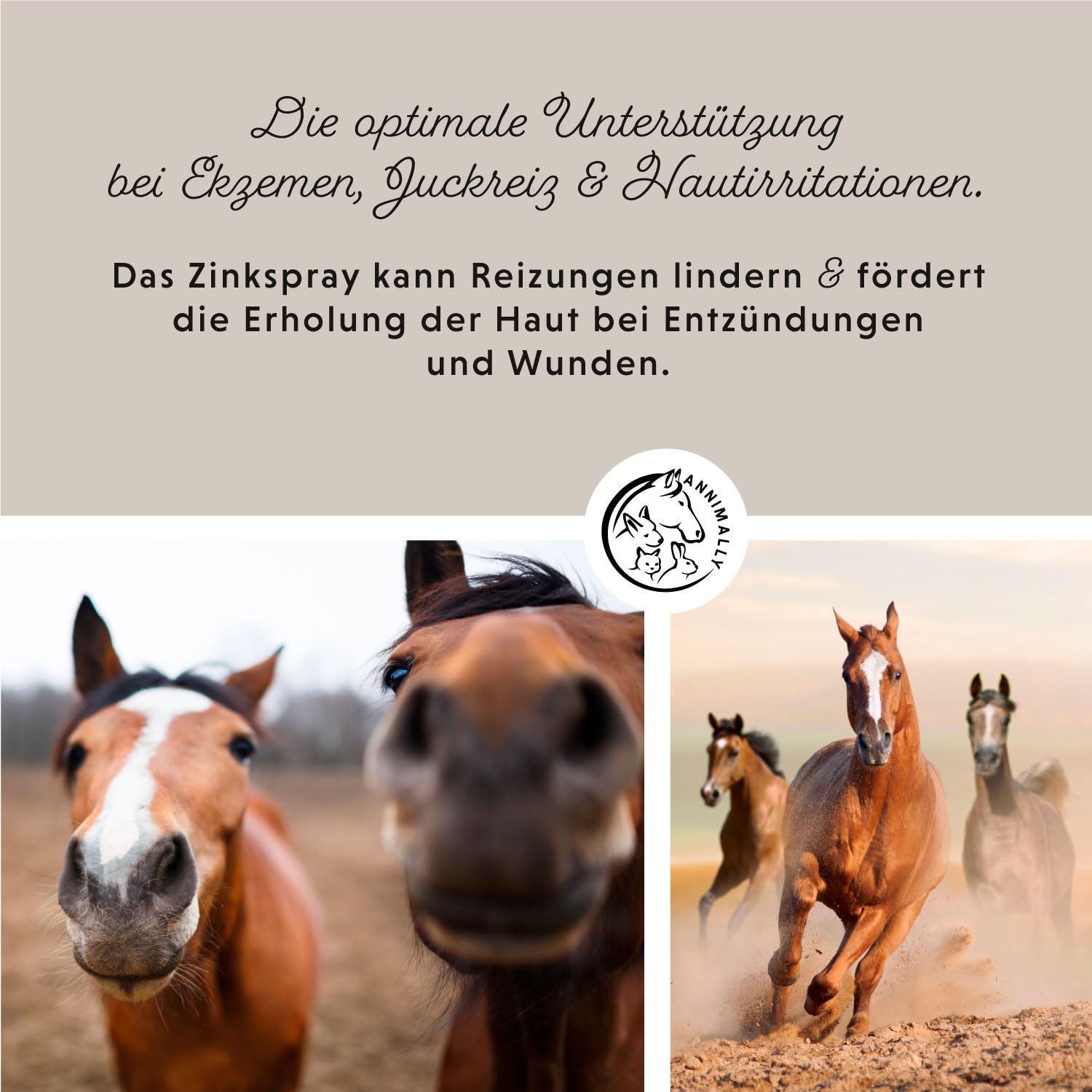 Annimally Zinkspray für Pferde 200ml - Atmungsaktive Wundabdeckung mit Zinkoxid, Lanolin & Allantoin um Abdecken von Wunden - Schutz vor Keimen & Pflege bei Ekzemen
