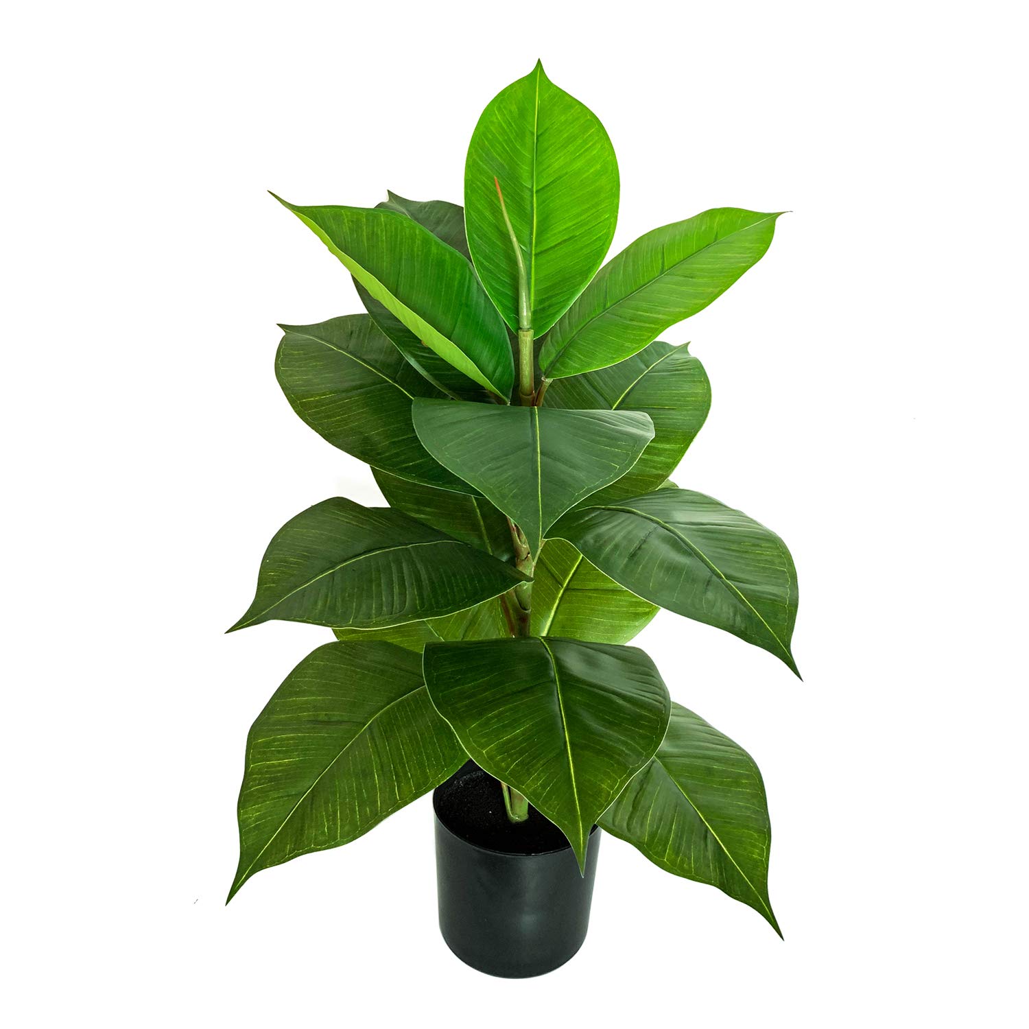 Artificial Plants India Decor For You